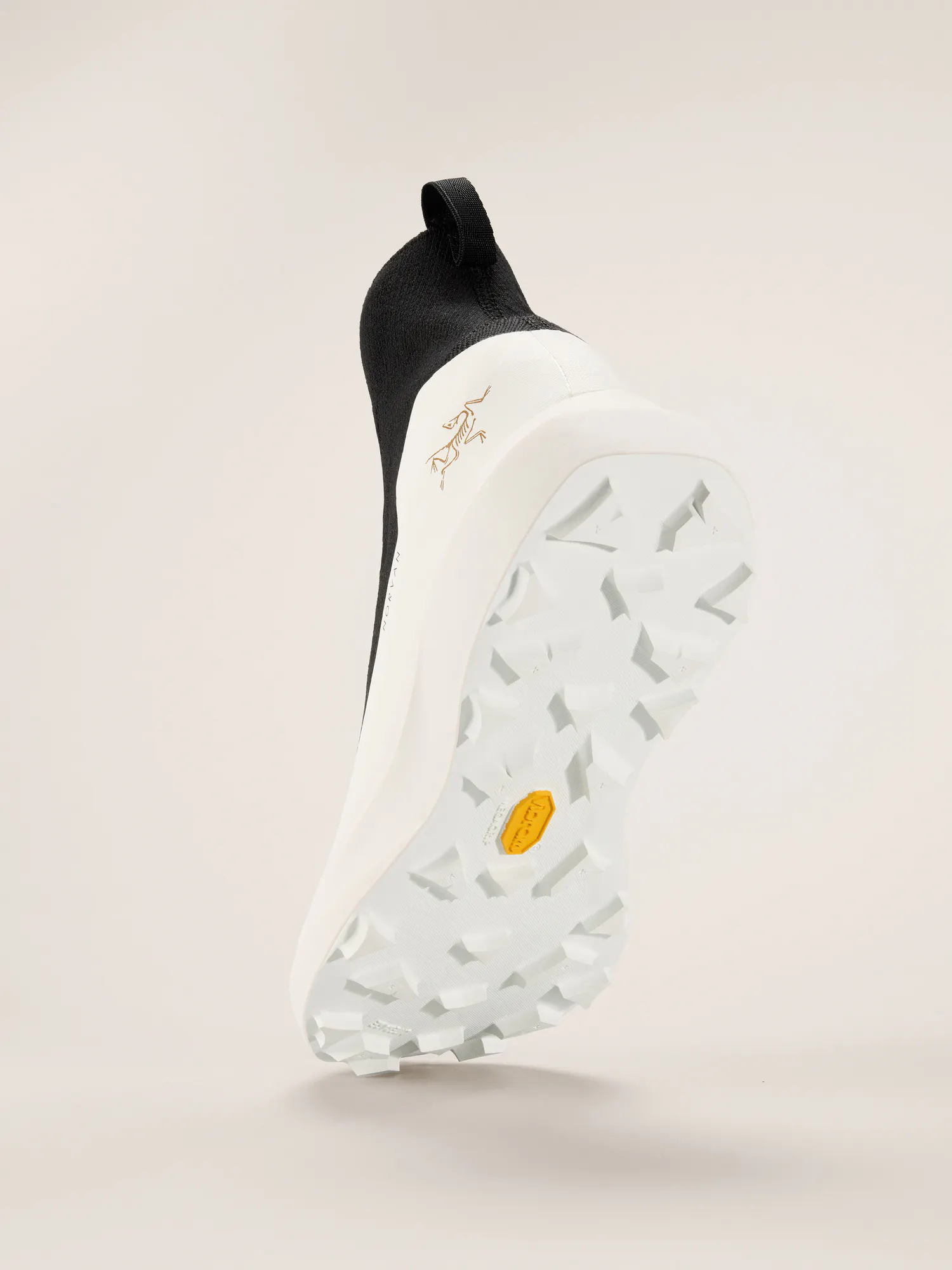 Norvan 4 Nivalis GTX Shoe Men's | Arc'teryx United States