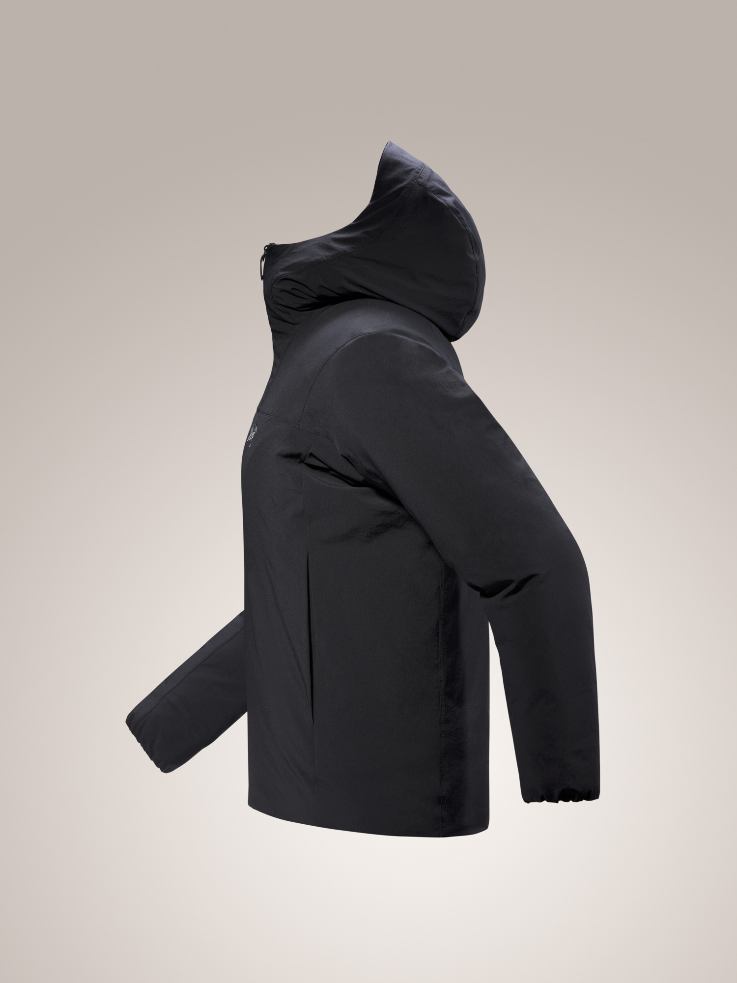 Epsilon Down Hoody Black Profile