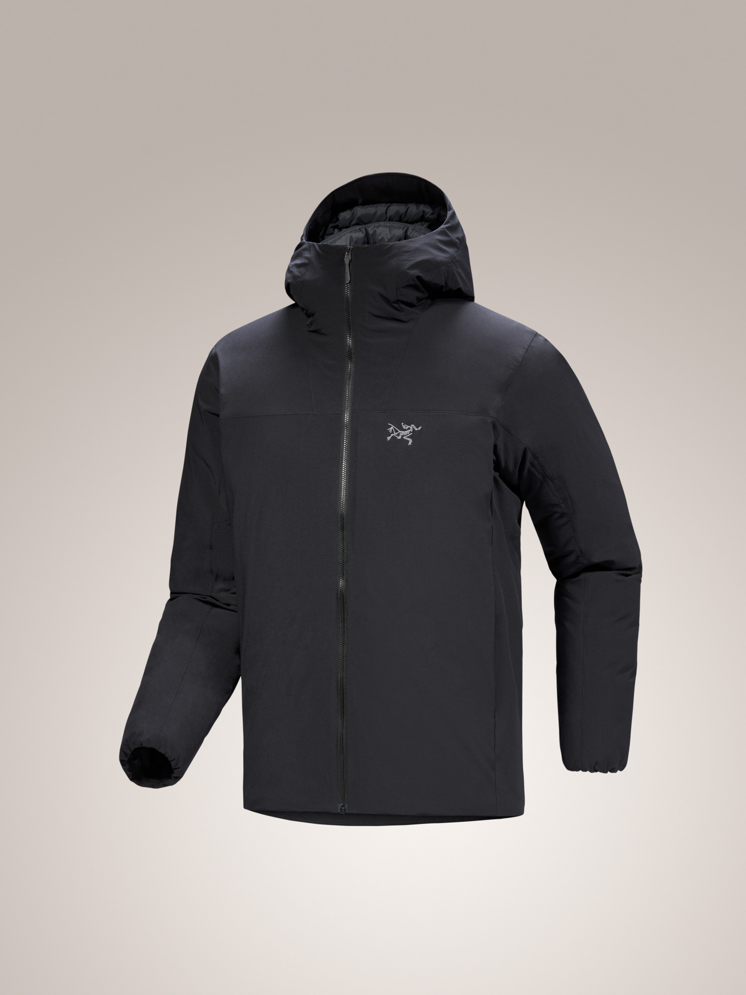 Epsilon Down Hoody Black 