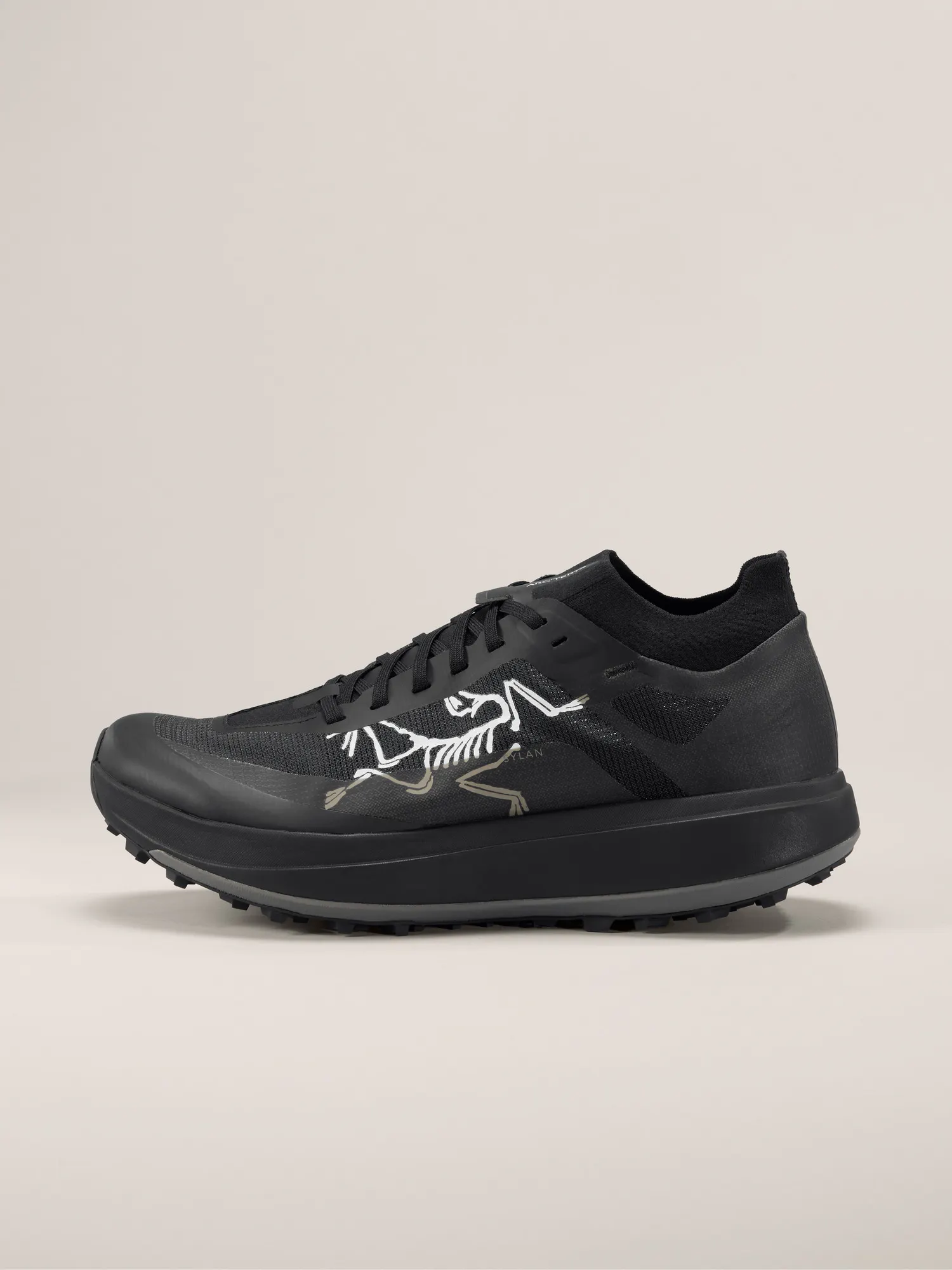 Sylan Pro Shoe Men