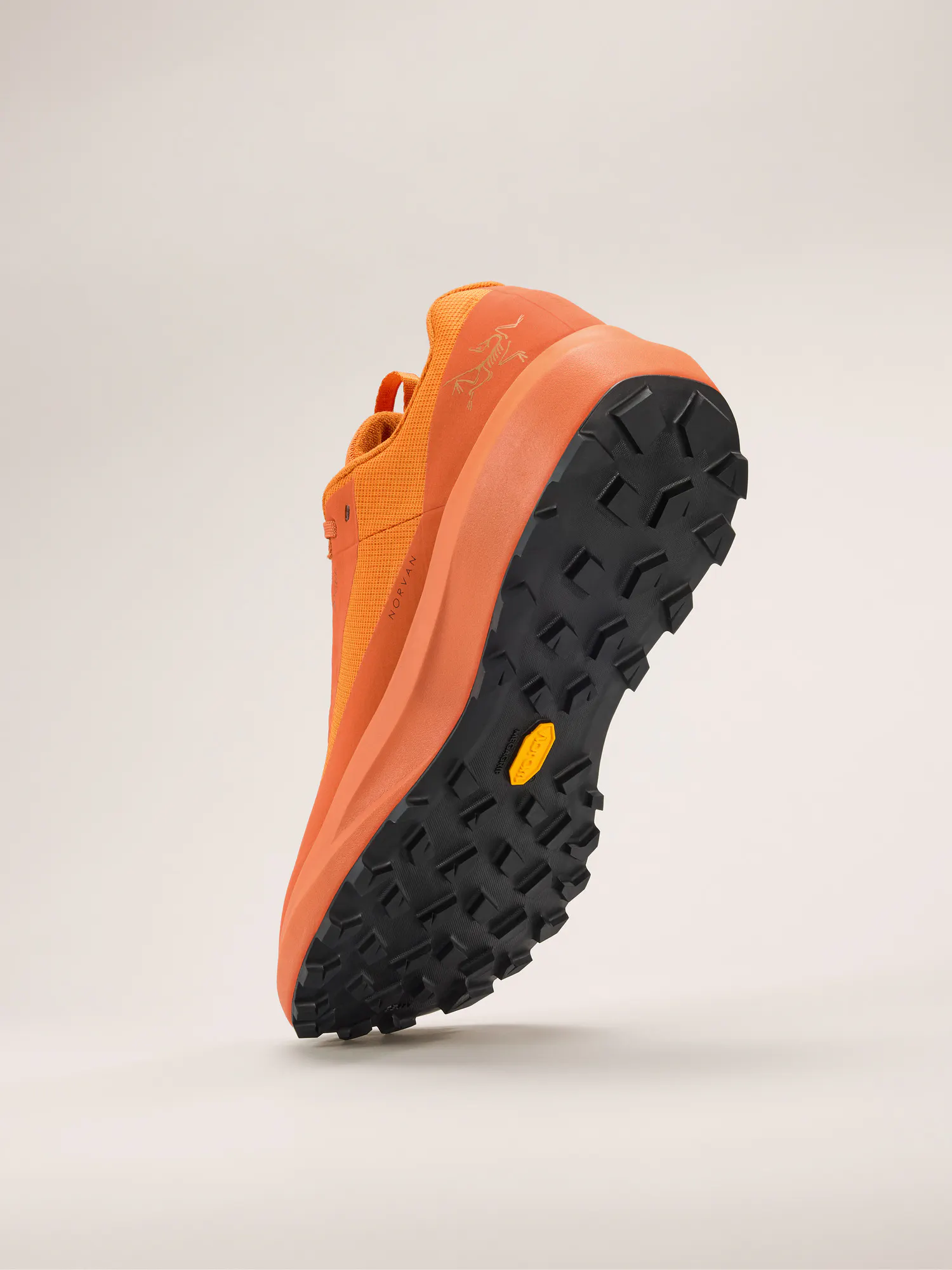 Norvan LD 4 GTX Shoe Men's | Arc'teryx Outlet