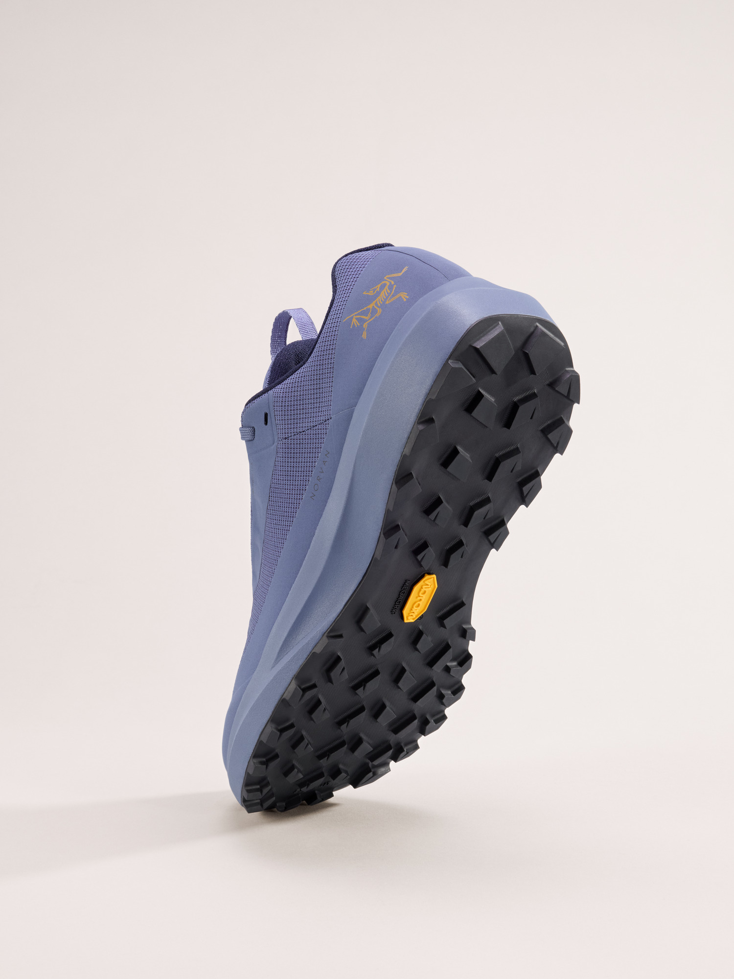 Norvan LD 4 GTX Shoe Lt Black Sapphire/Lt Black Sapphire Sole