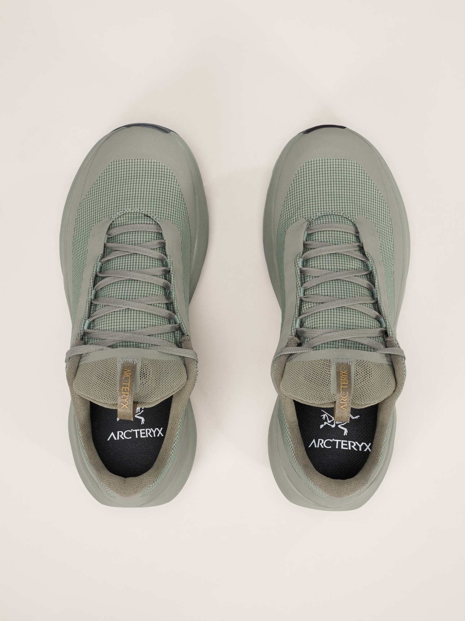 Norvan LD 4 GTX Shoe Women's Forage/Forage Pair