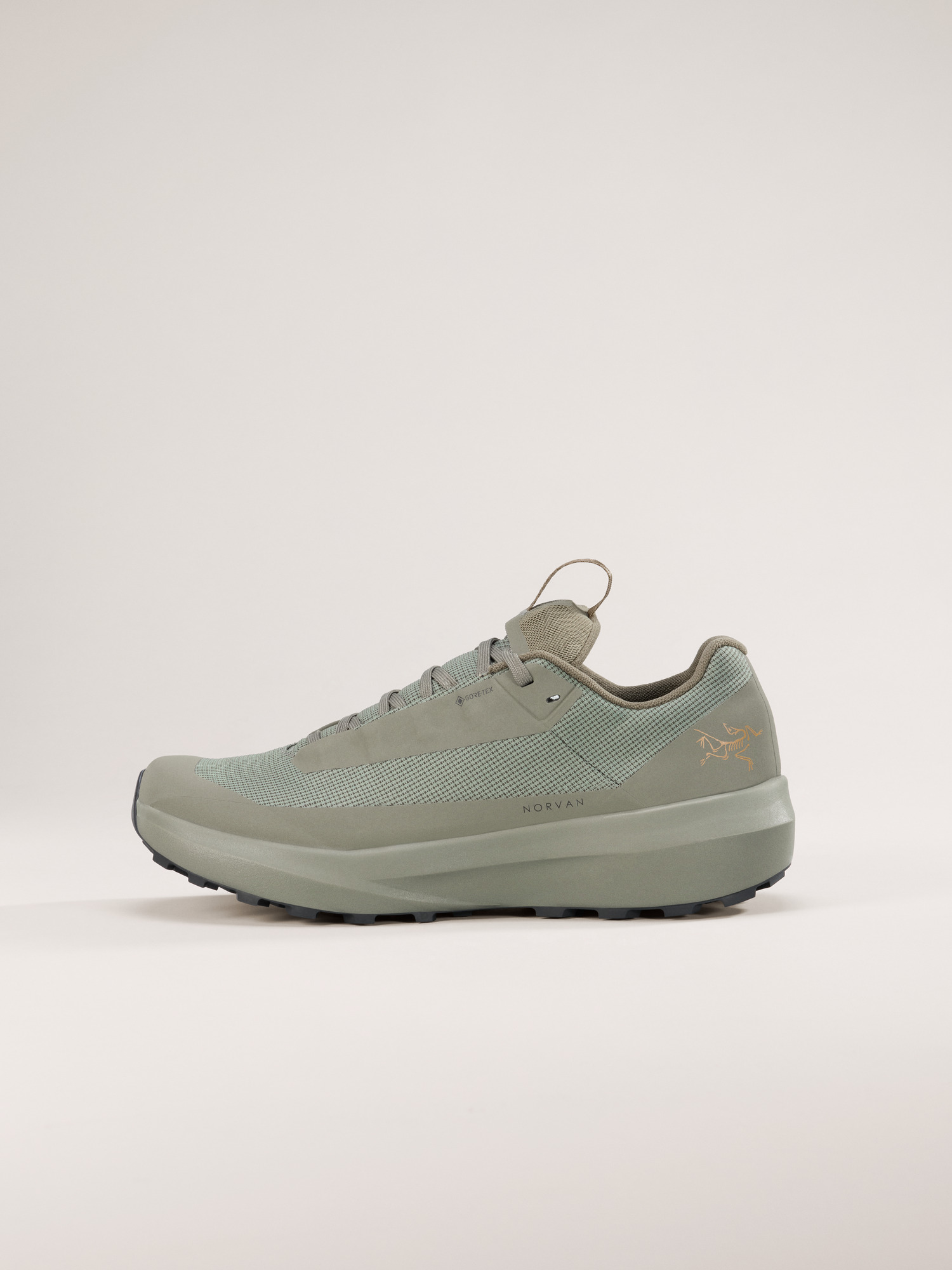 Norvan LD 4 GTX Shoe Women's Forage/Forage Profile