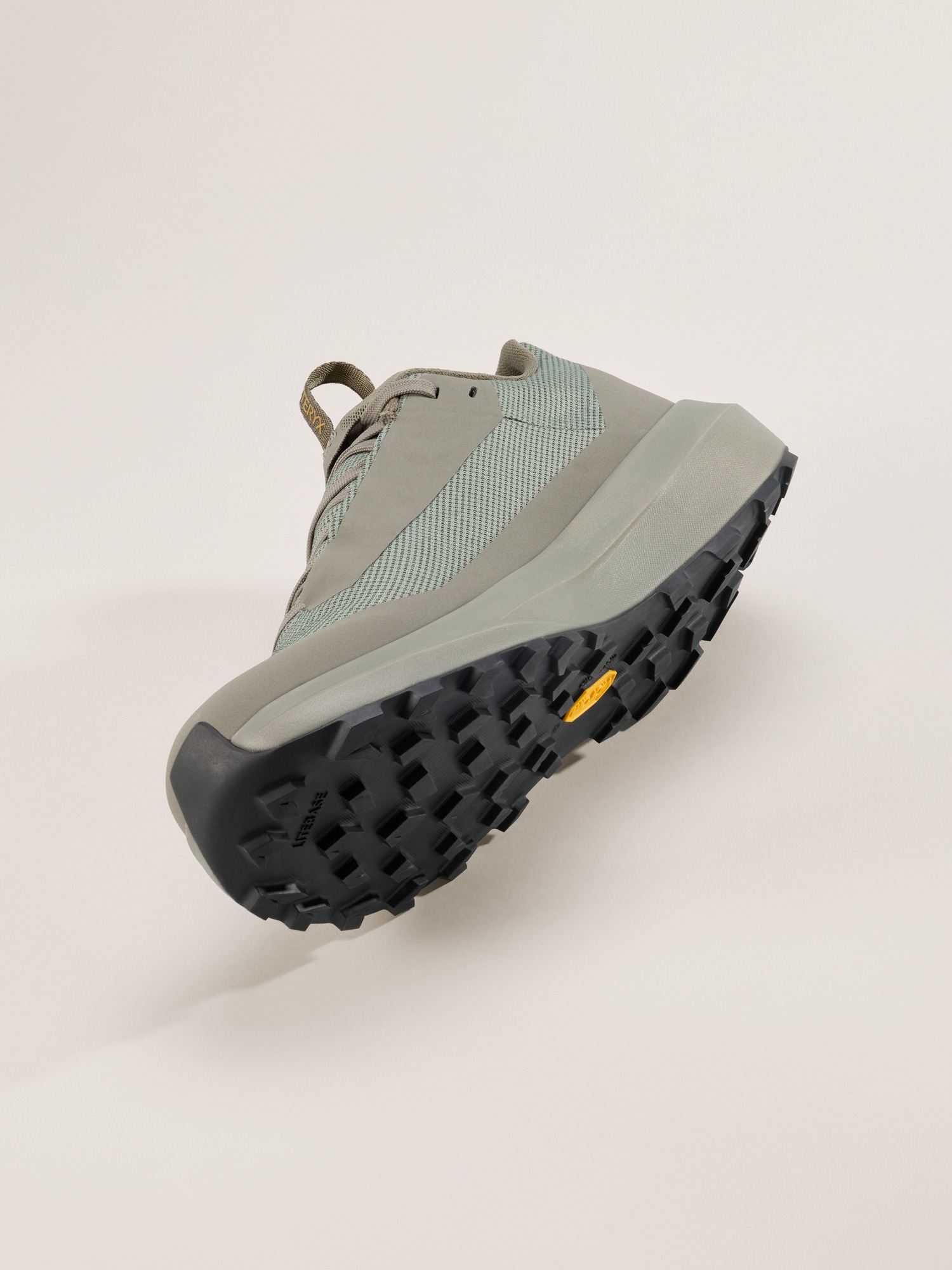Norvan LD 4 GTX Shoe Women's Forage/Forage Side