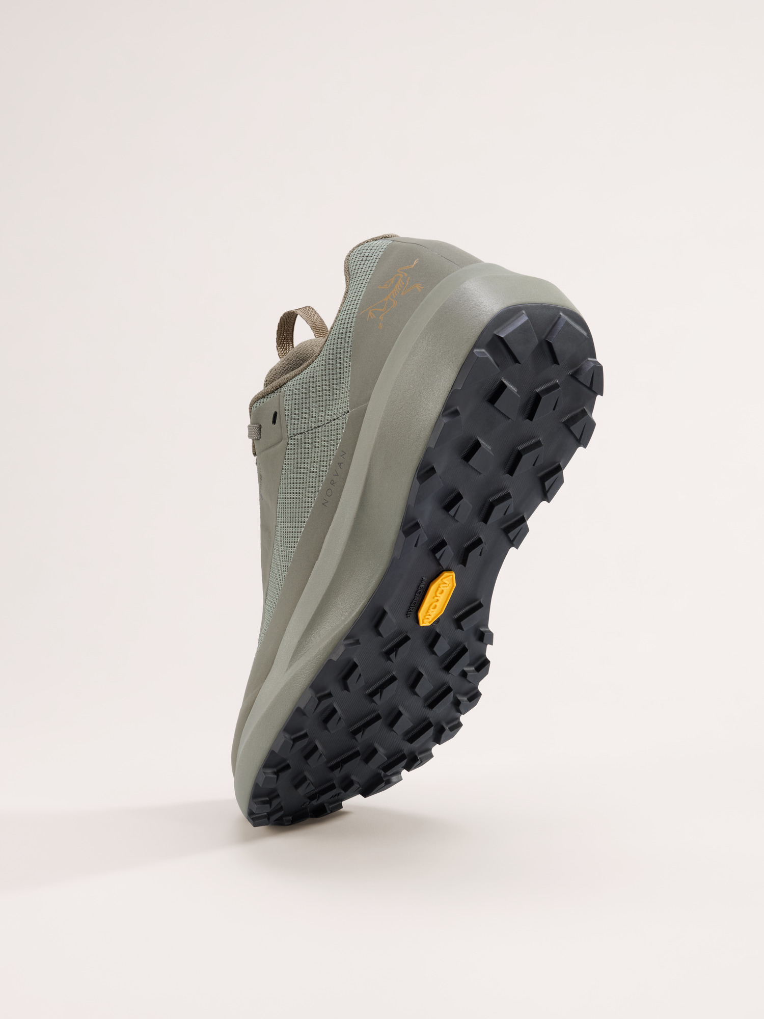 Norvan LD 4 GTX Shoe Women's Forage/Forage Sole