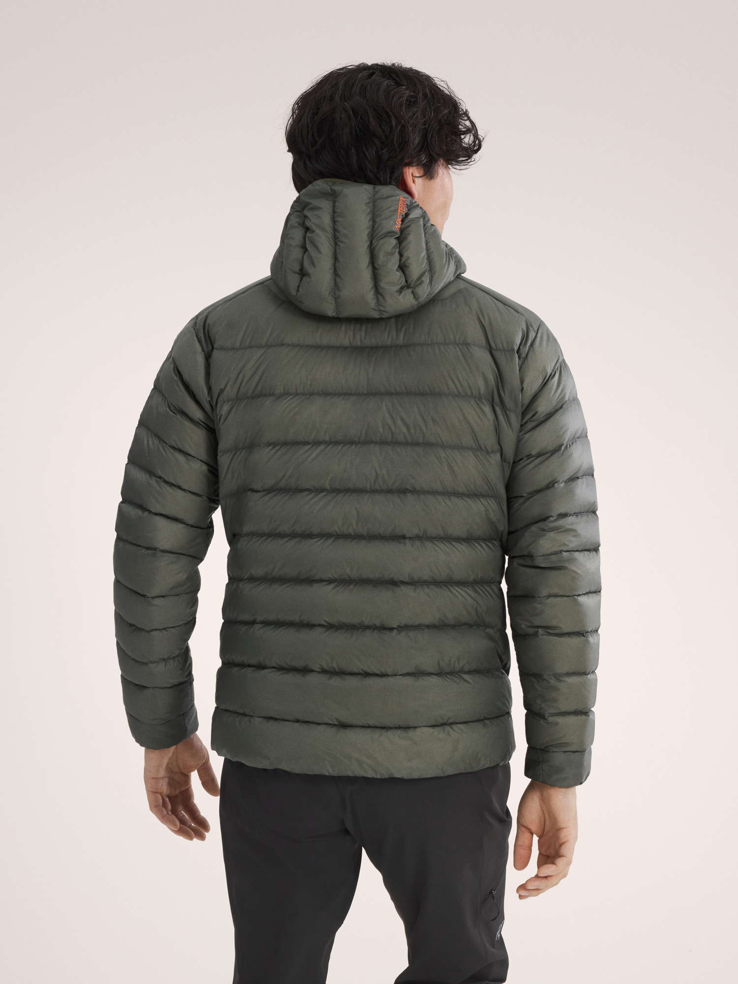 Cerium Hoody Forage / Verve Back View