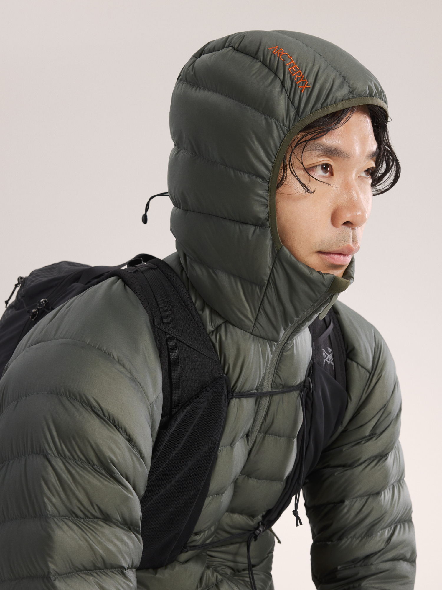 Cerium Hoody Forage / Verve Hood