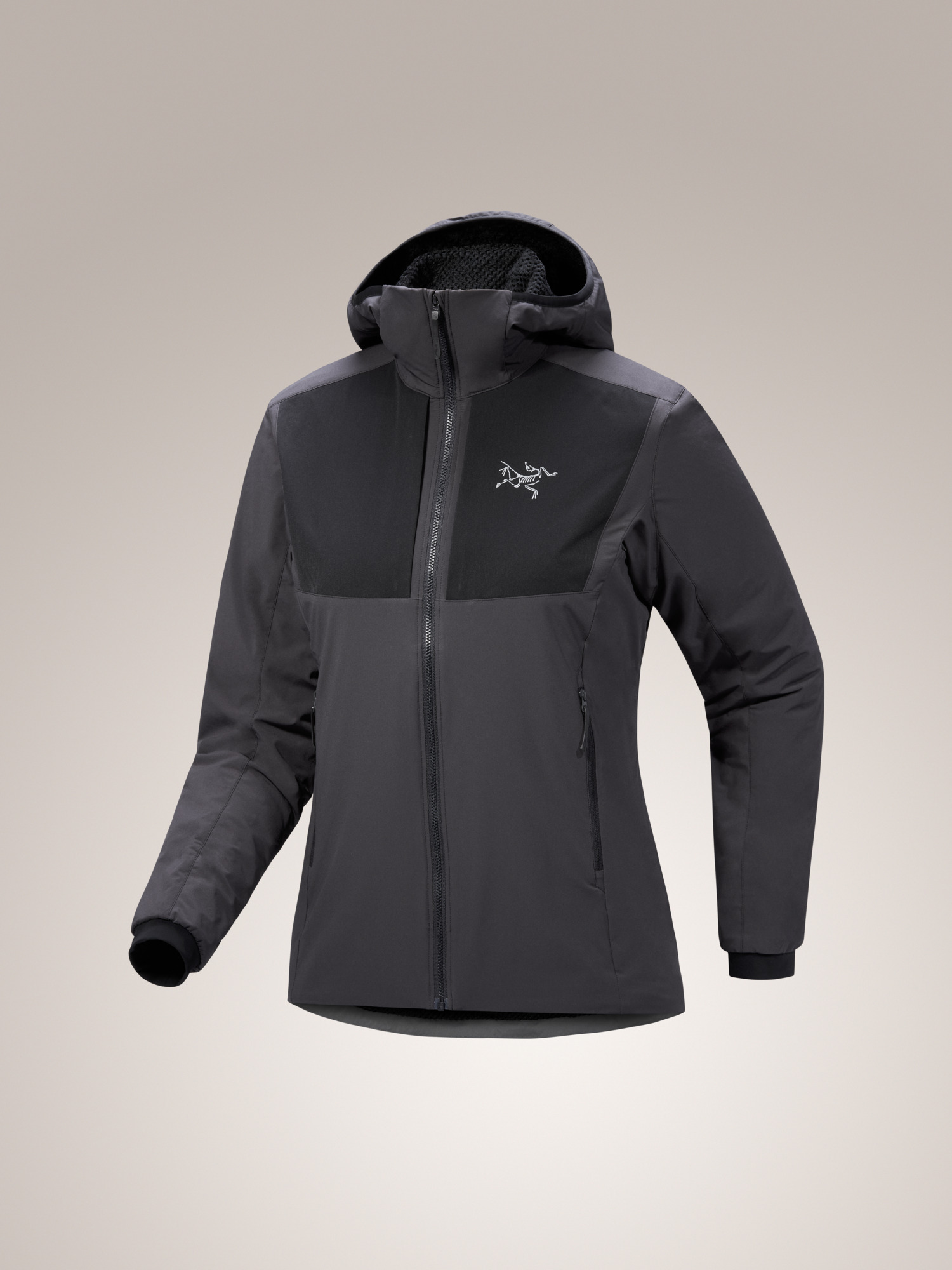 Practitioner AR Hoody Women's Carbon Copy 