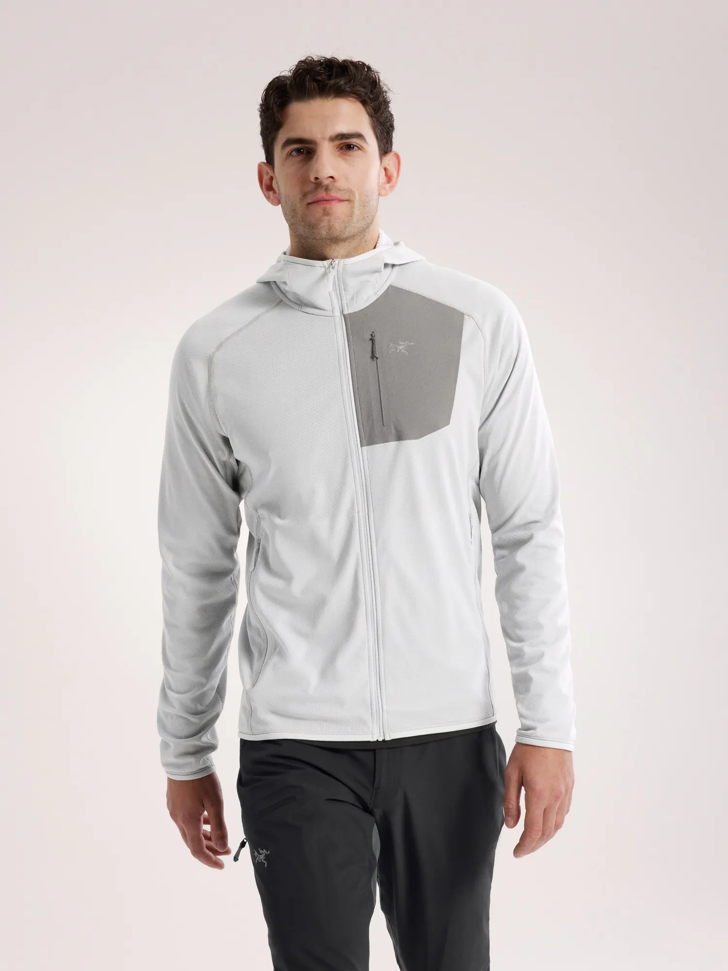 Delta Hoody Herren