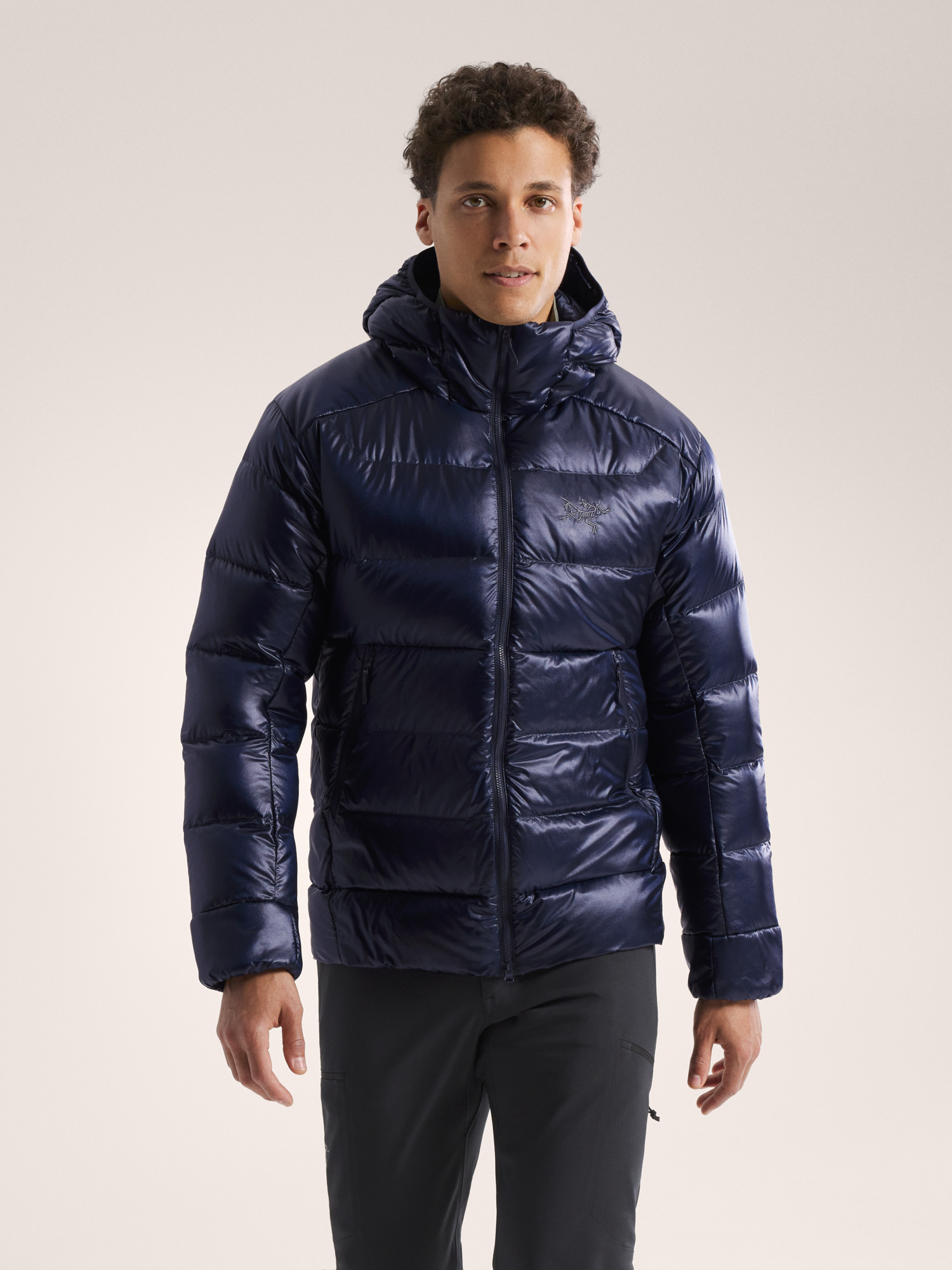 ARC'TERYX Cerium SV Hoody Men's Lサイズ Cerium SV Hoody Men's | Arc'teryx United States
