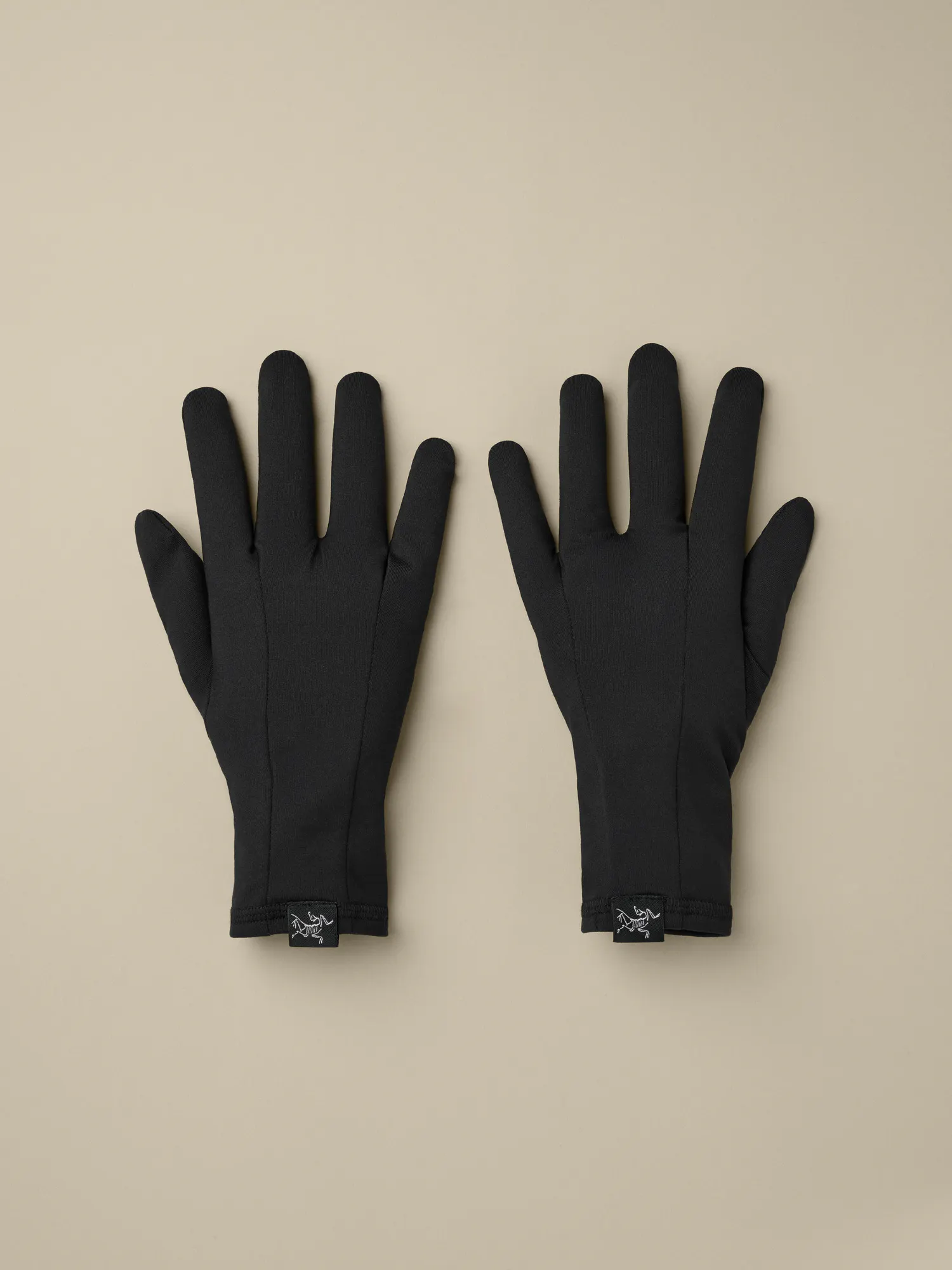 小物 Arc'teryx Fleece Gloves Rho Glove | Arc'teryx United States