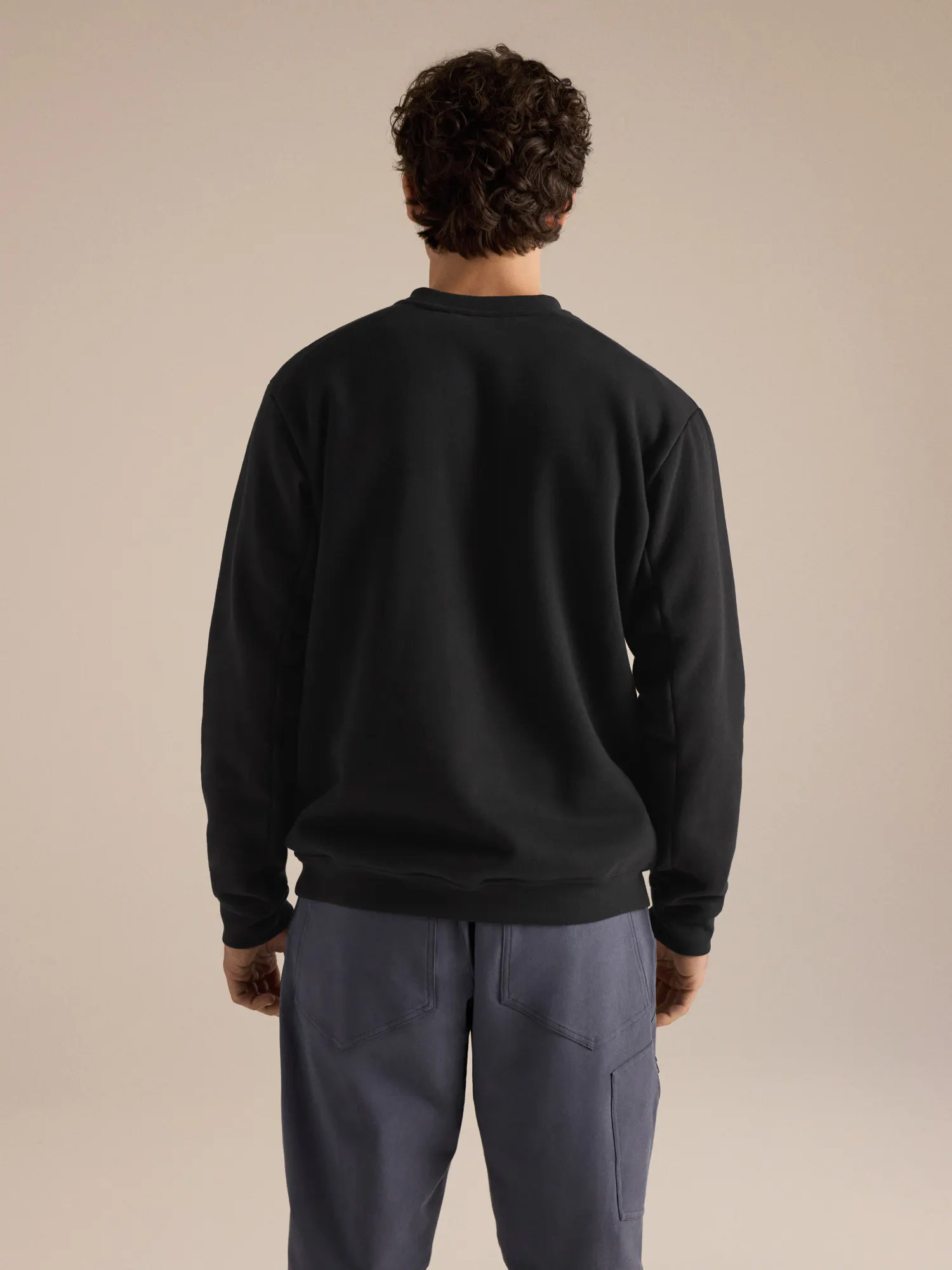Emblem Fleece Crew Neck Pullover Men's | Arc'teryx United States