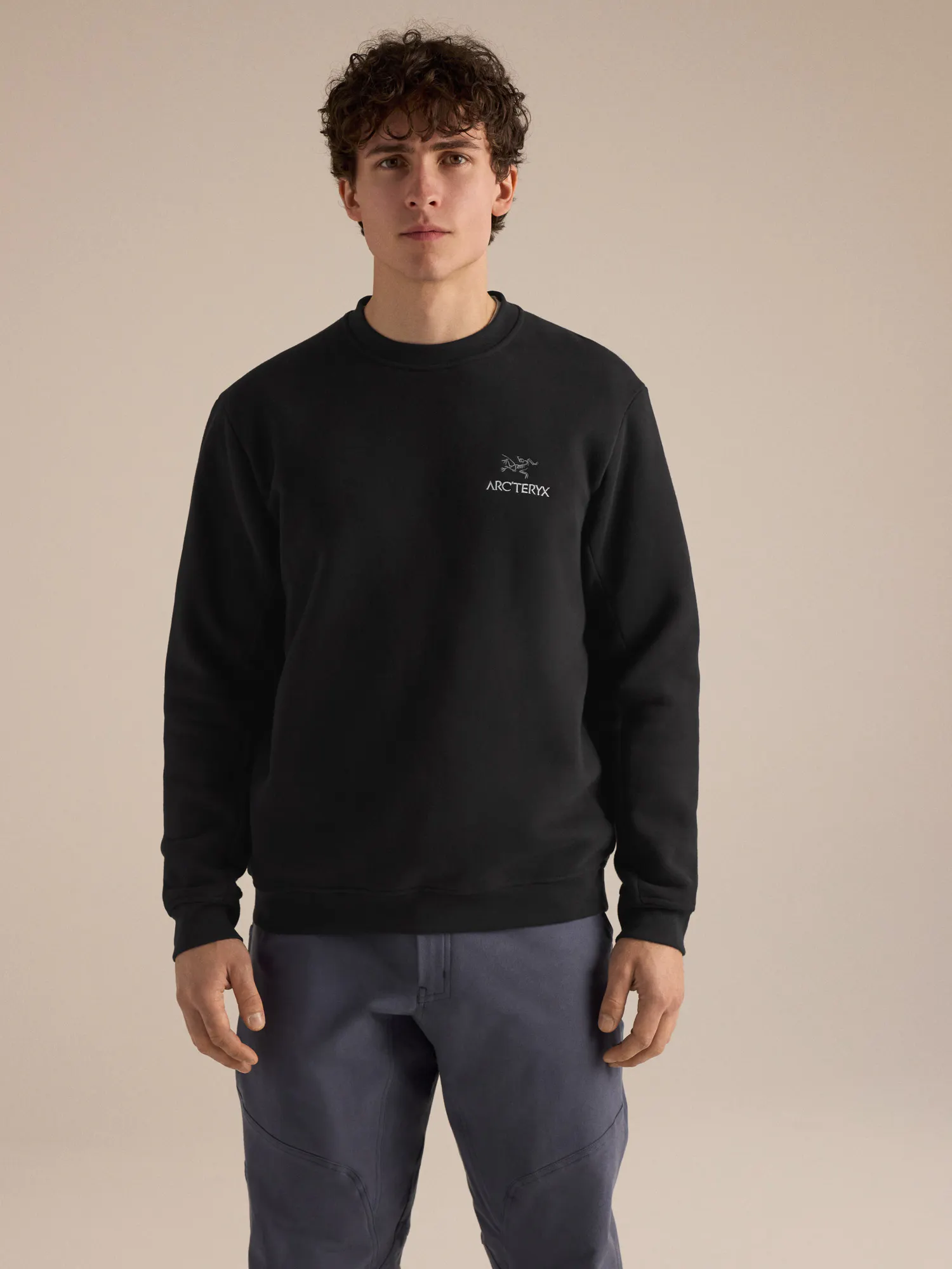 トップス ARC'TERYX Emblem Fleece Crew Black XS Emblem Fleece Crew Neck Pullover Men's | Arc'teryx United States