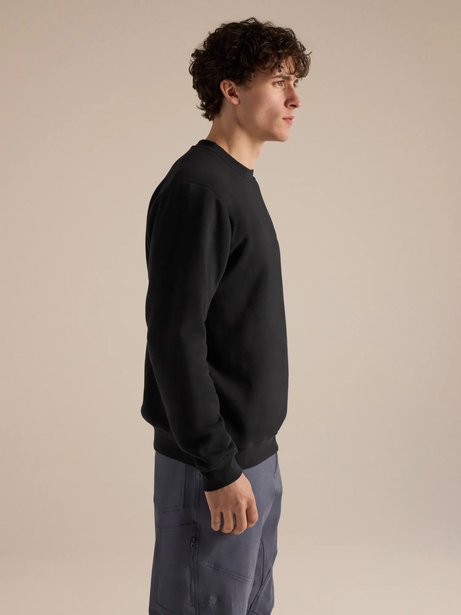 Emblem Fleece Crew Neck Pullover Men's | Arc'teryx Netherlands