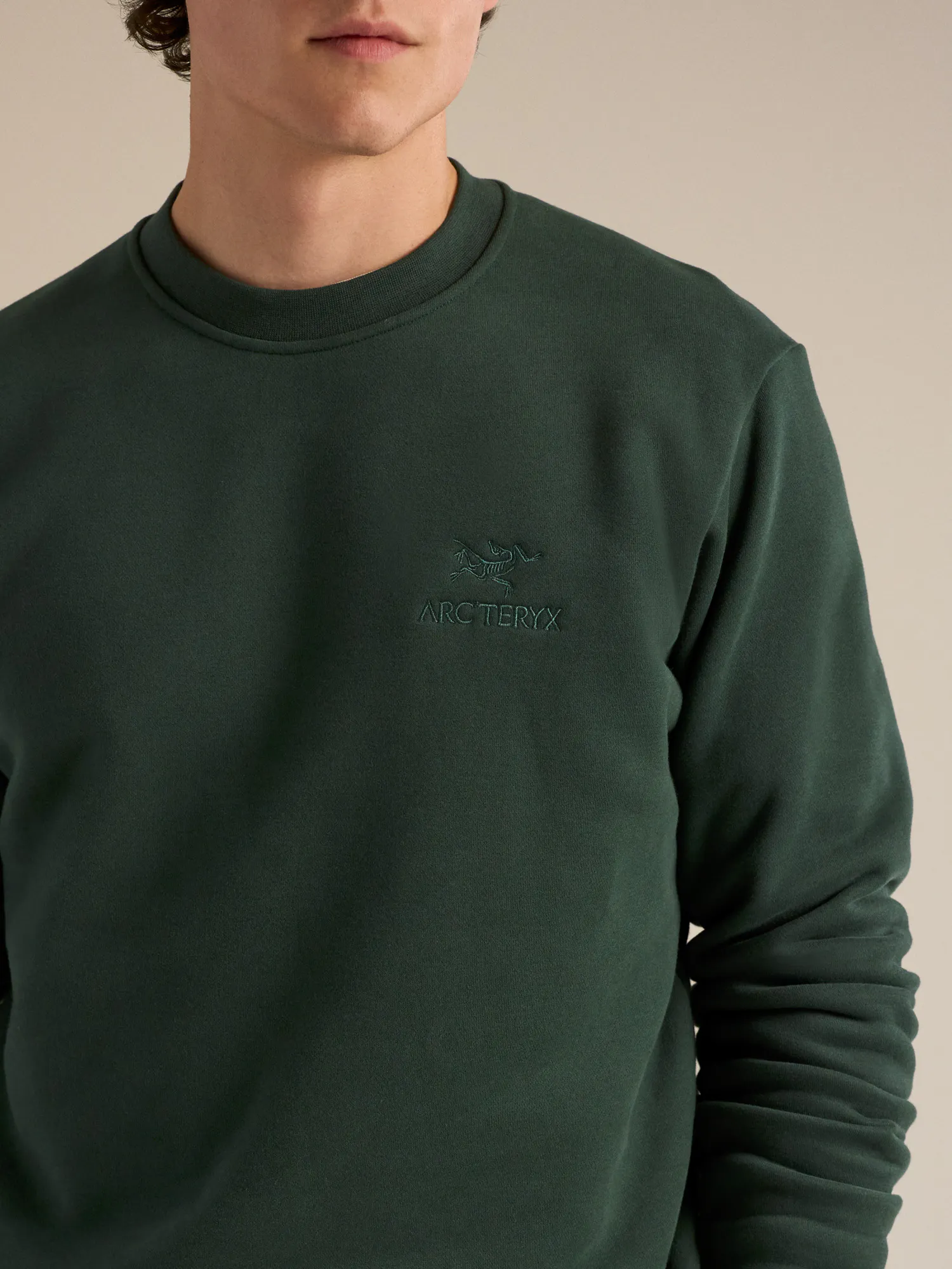 Emblem Fleece Crew Neck Pullover Men's | Arc'teryx United States