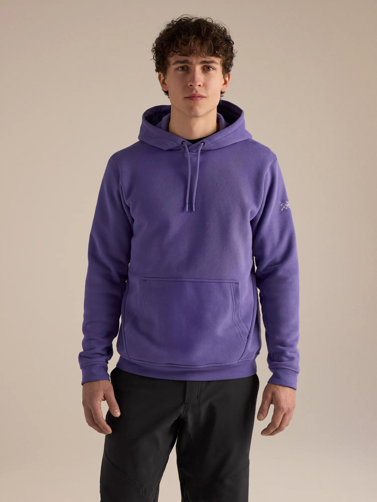 ARC'TERYX アークテリクス/EMBLEM FLEECE HOODY/ L Emblem Fleece Hoody Men's | Arc'teryx United States