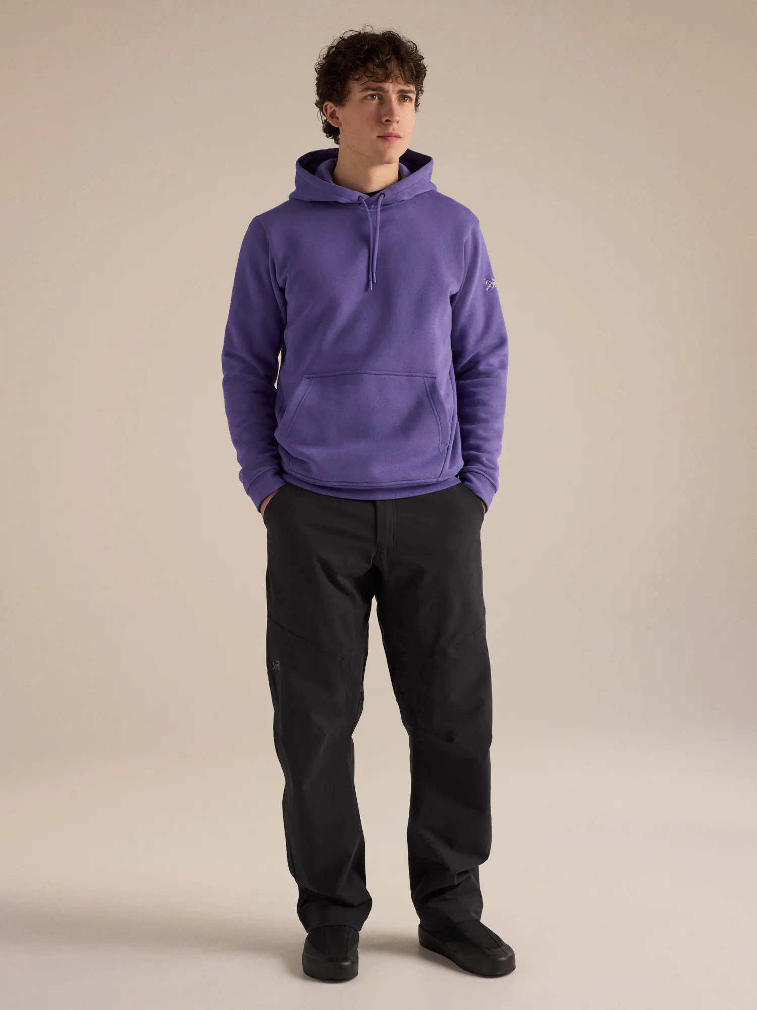 Emblem Fleece Hoody Men's | Arc'teryx United States