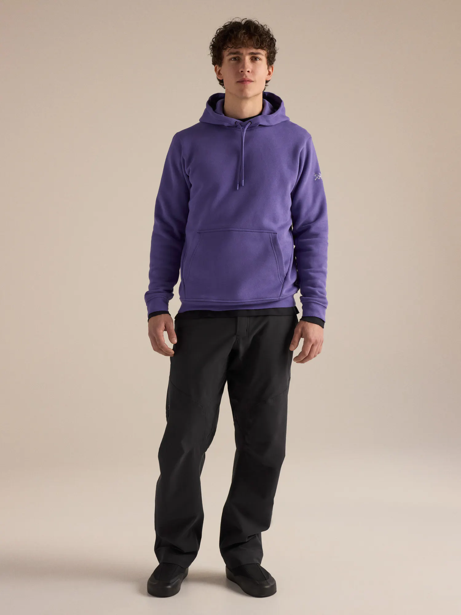 Emblem Fleece Hoody Men's | Arc'teryx United States