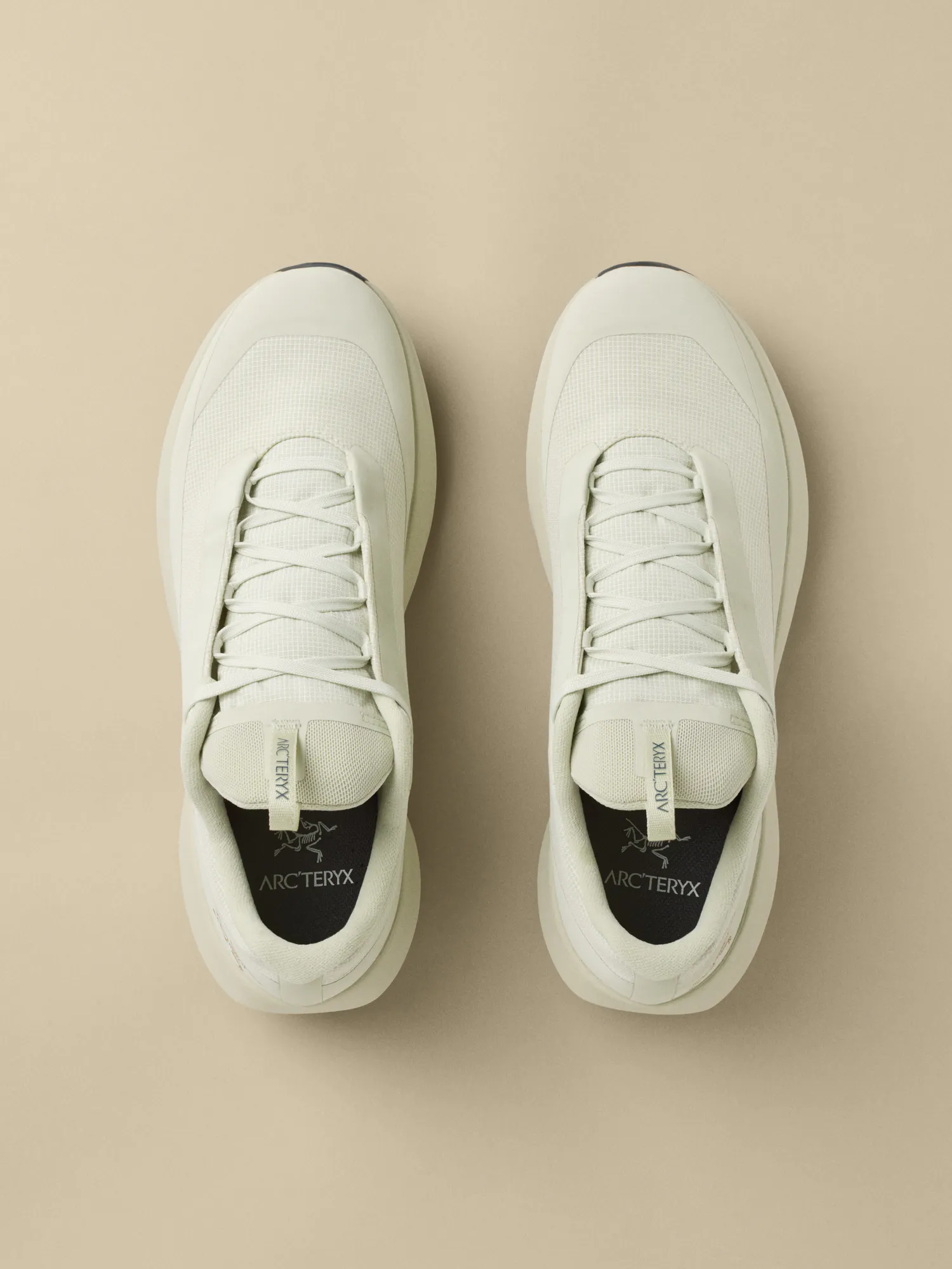 Norvan LD 4 GTX Shoe Men's | Arc'teryx United States
