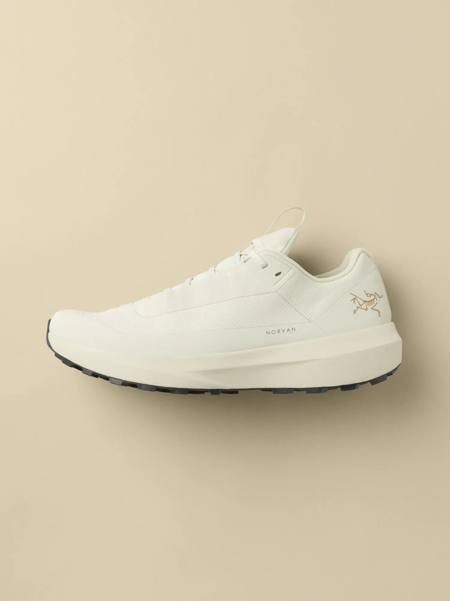 Norvan LD 4 GTX Shoe Men's | Arc'teryx United States