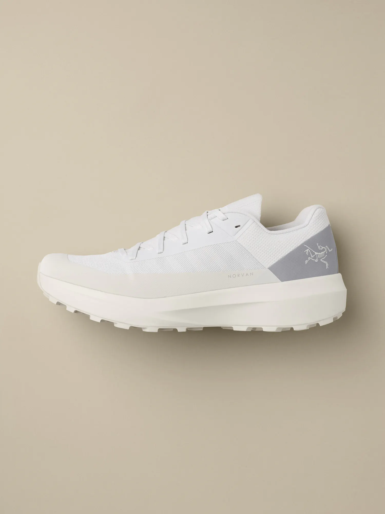 Norvan LD 4 Shoe Men's