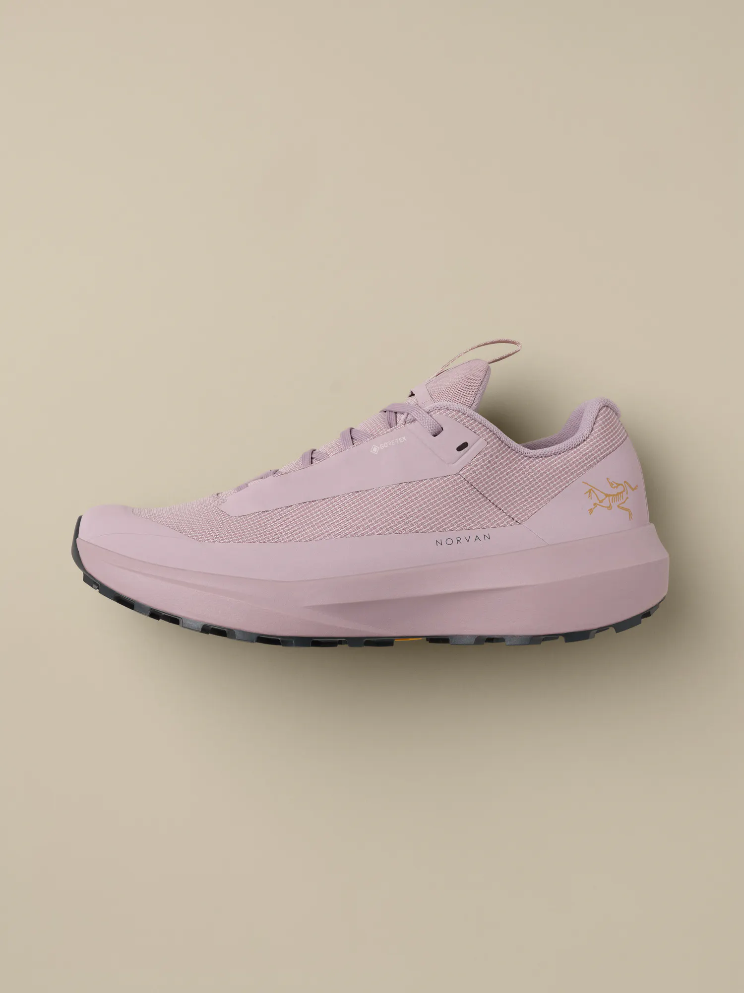 Norvan LD 4 GTX Shoe Women's
