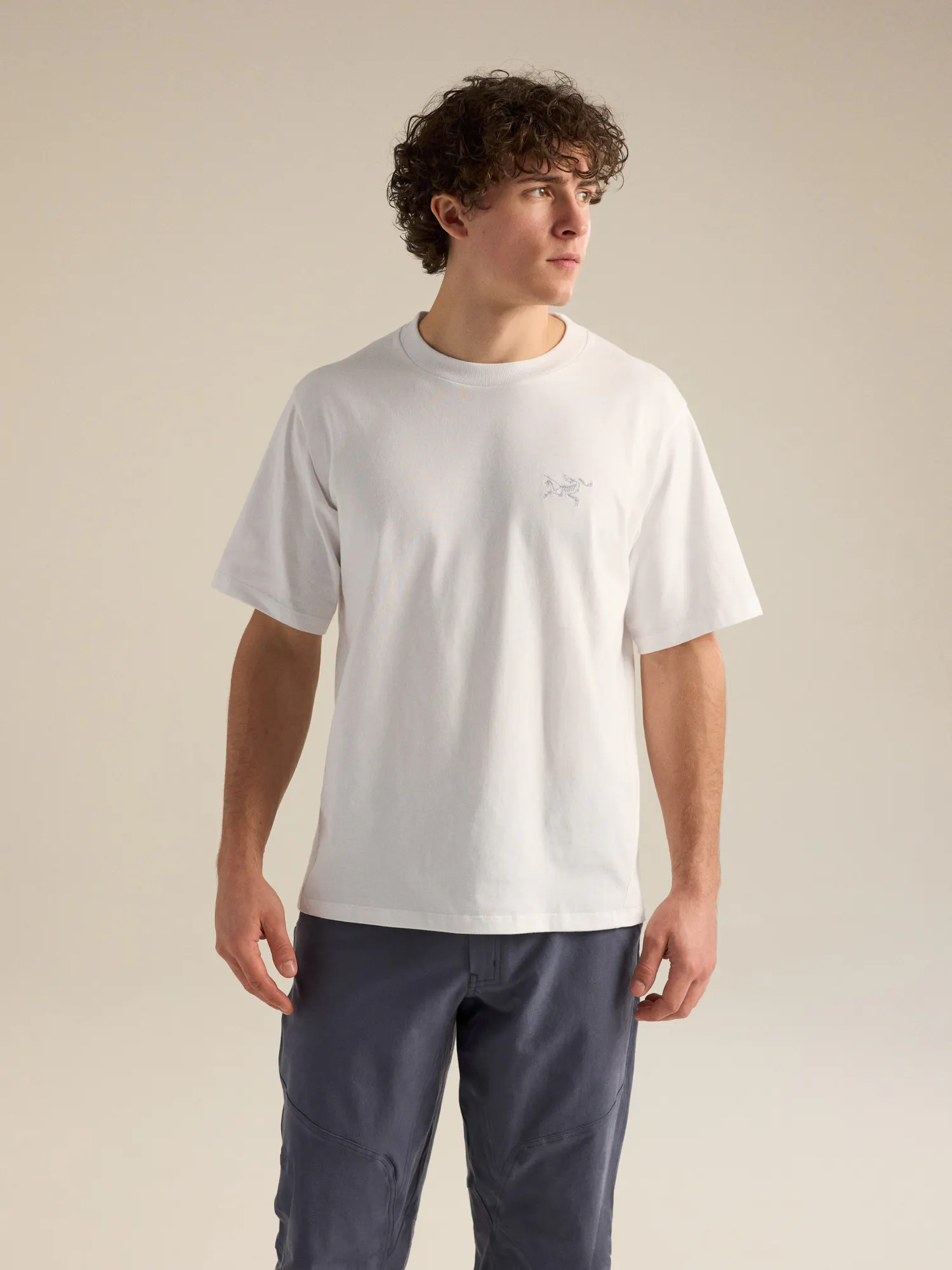 Kragg Cotton Emblem Crew Neck Shirt SS Men's | Arc'teryx United States