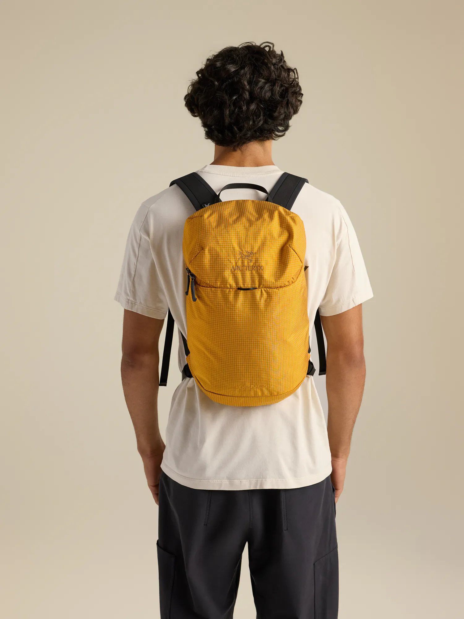 Konseal 15 Backpack