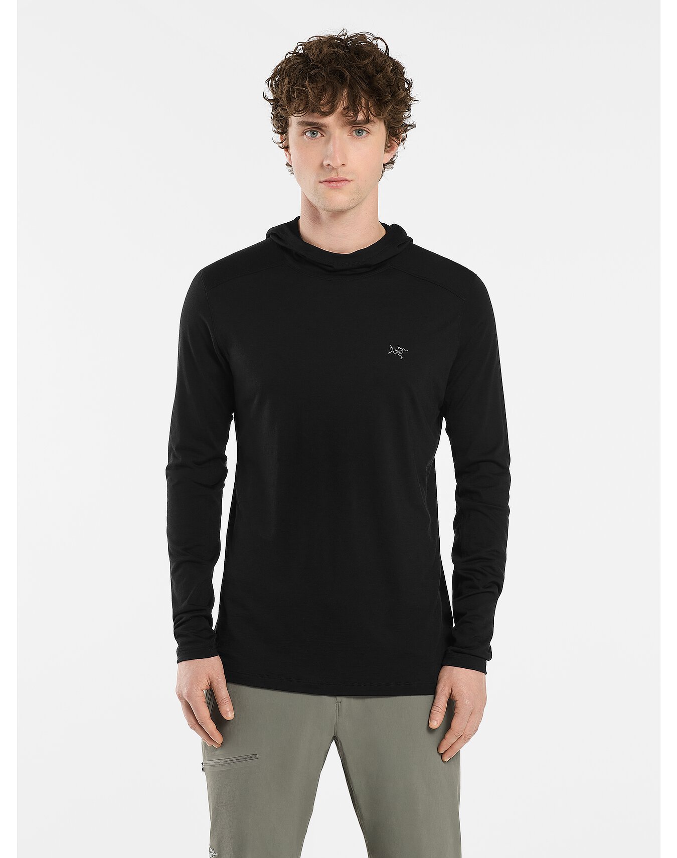 Ionia Merino Wool Hoody Men's Arc'teryx