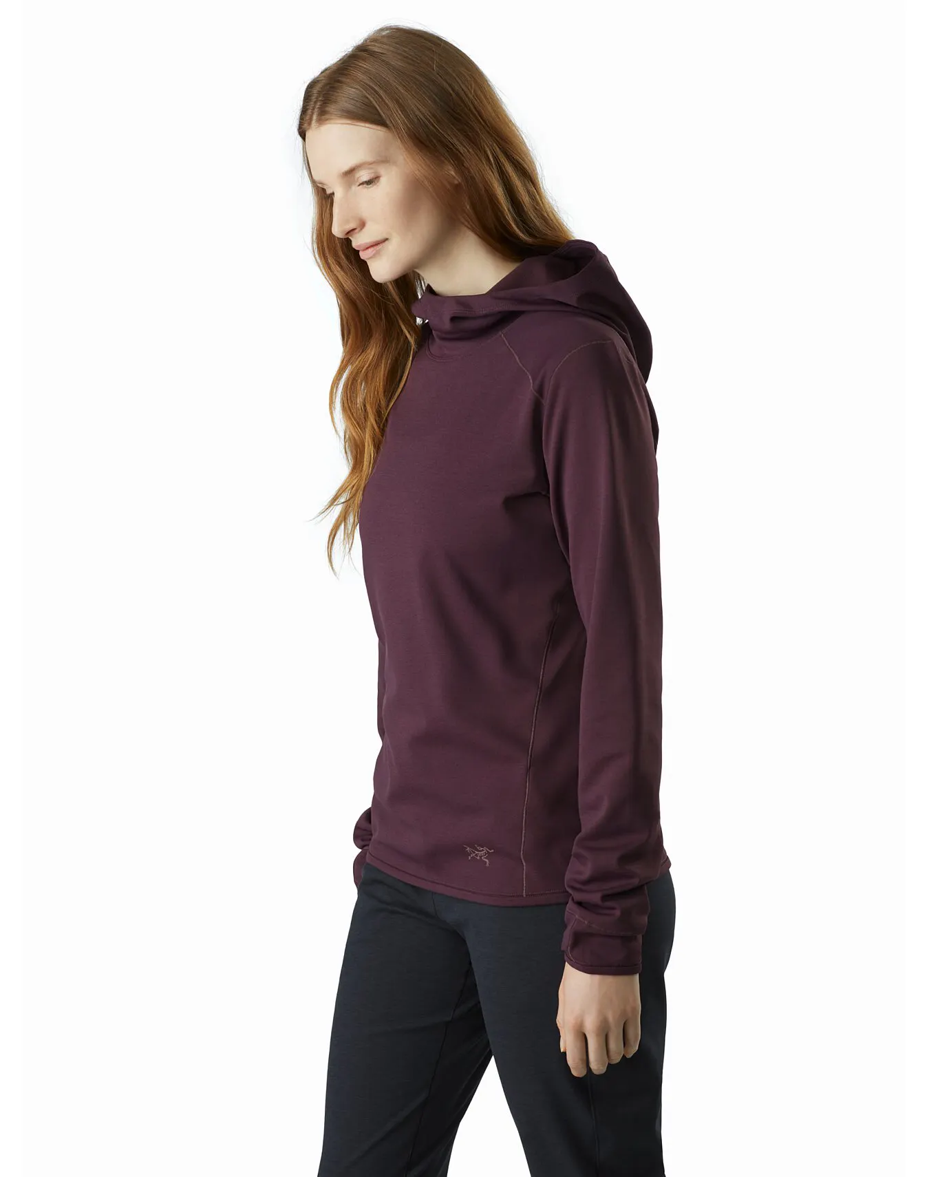 arcteryx ar atom hoody