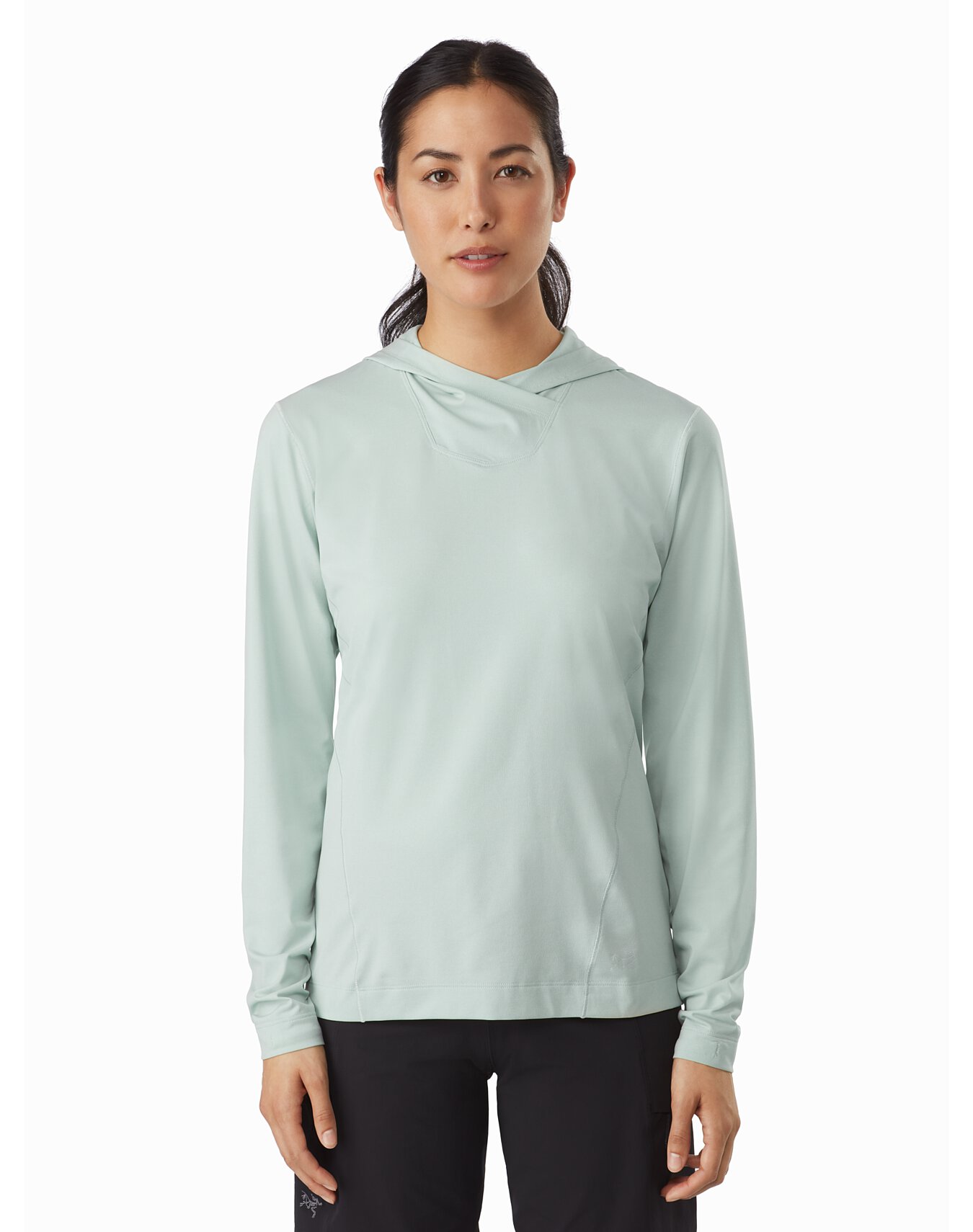 remige hoody arcteryx