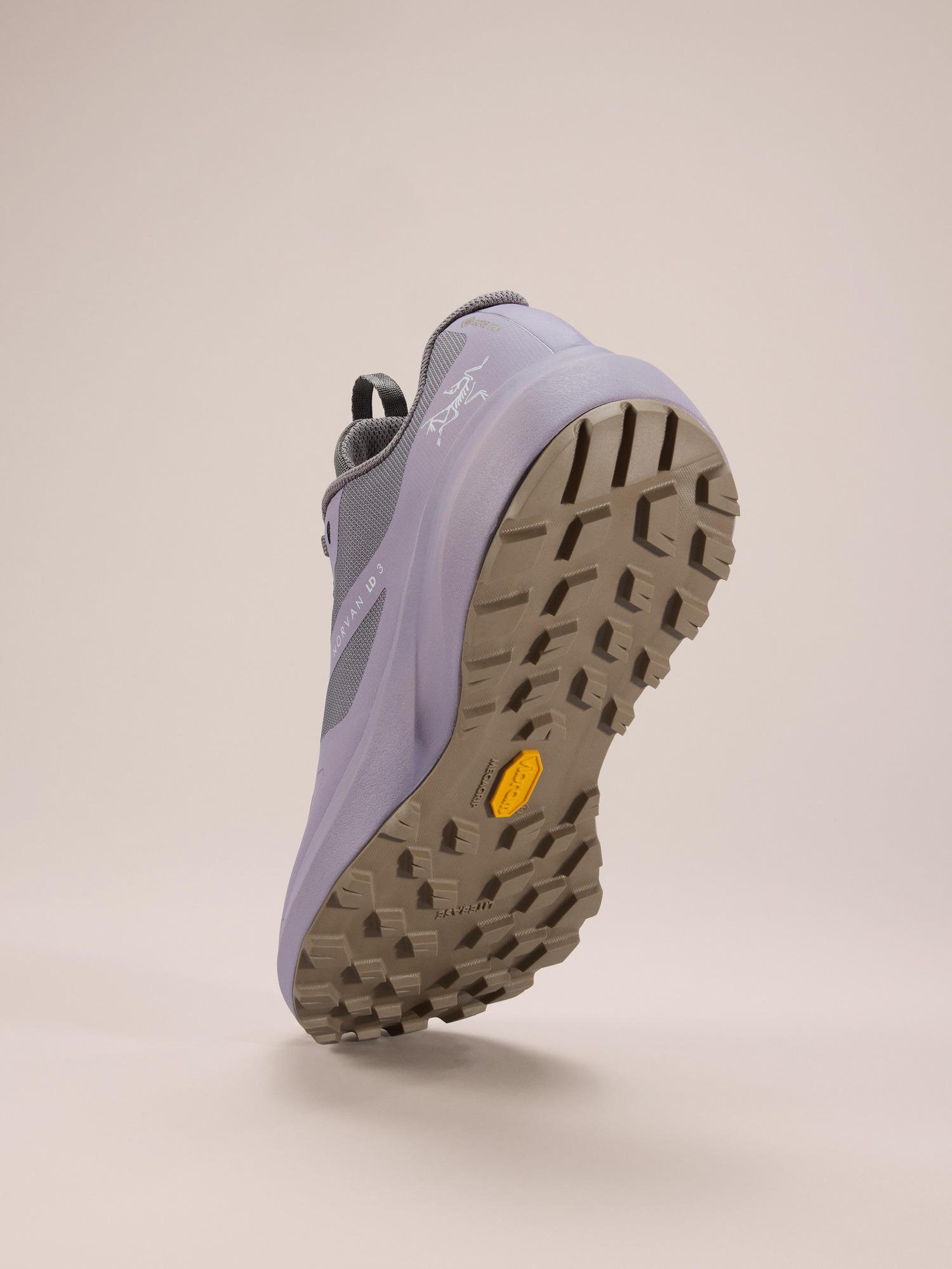 ノーバン LD 3 ゴアテックス シューズ ウィメンズ | Arc'teryx