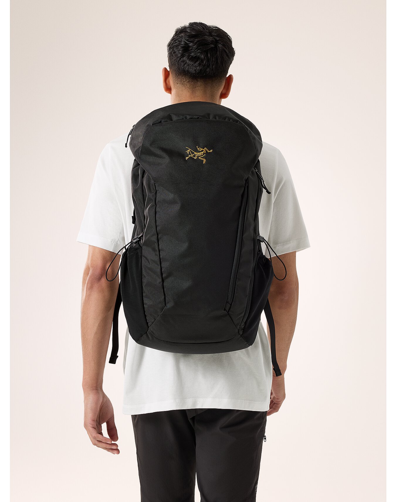Mantis 30 Backpack | Arc'teryx
