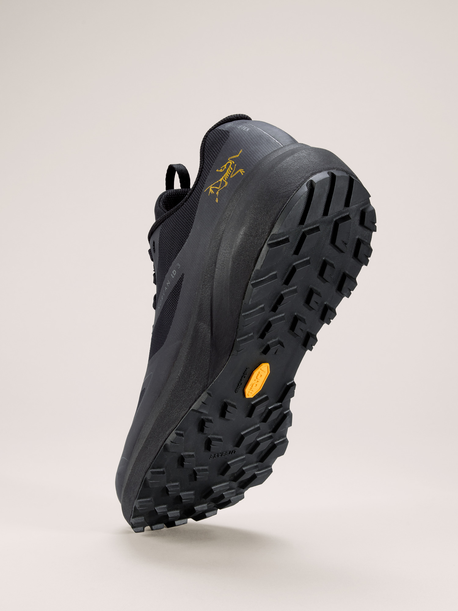 Norvan LD 3 GTX Shoe Men's | Arc'teryx