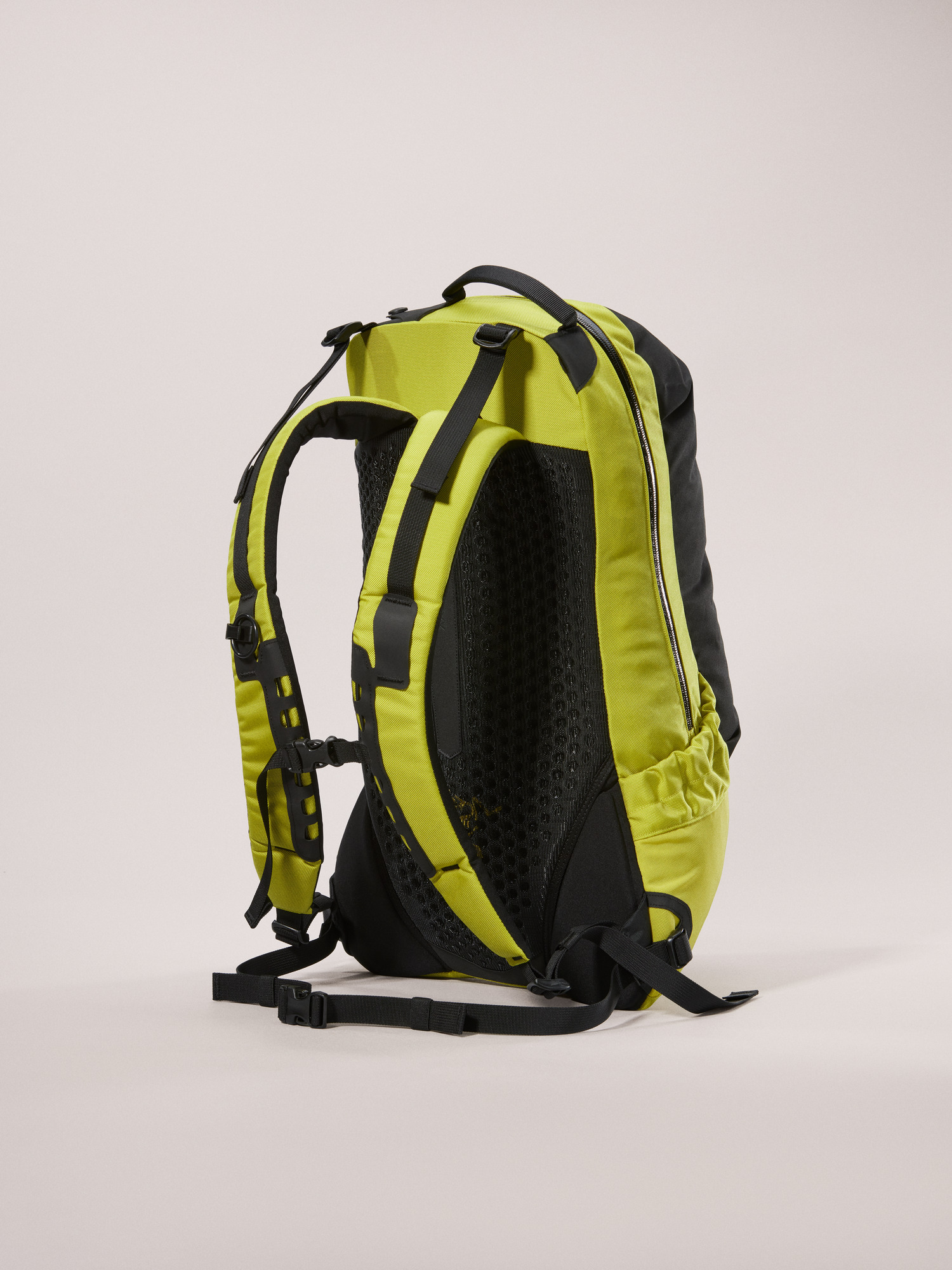 Arro 22 Backpack Lampyre Back