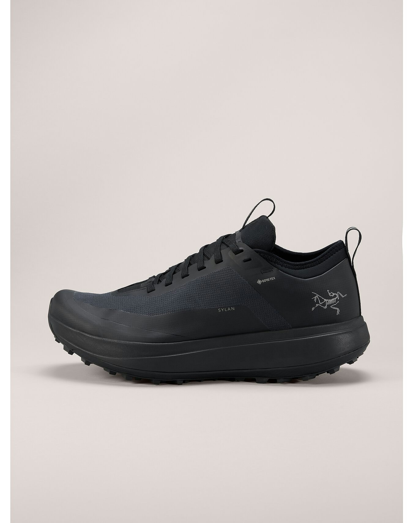 Sylan GTX Shoe Black/Black