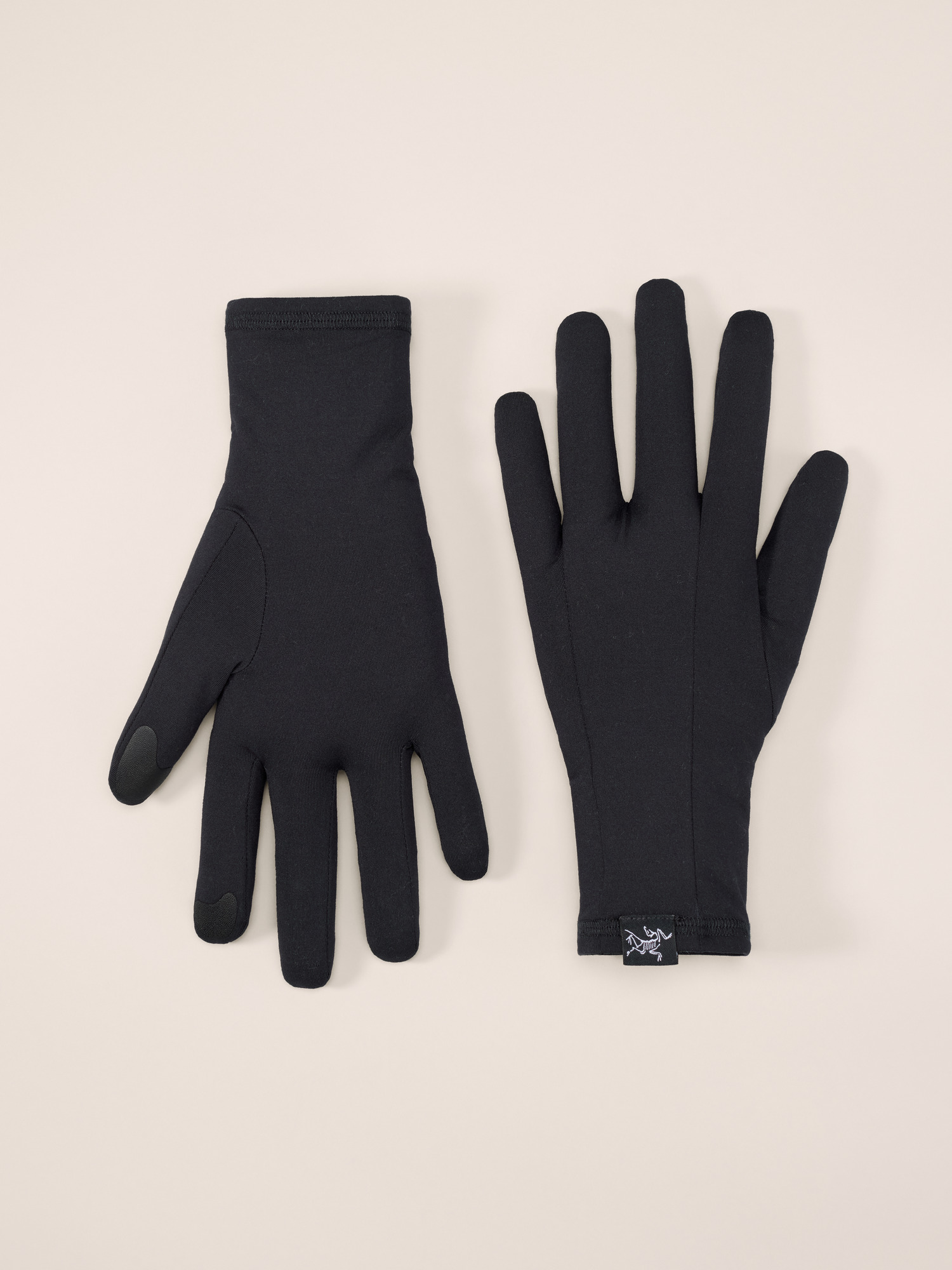 Rho Glove Black Pair