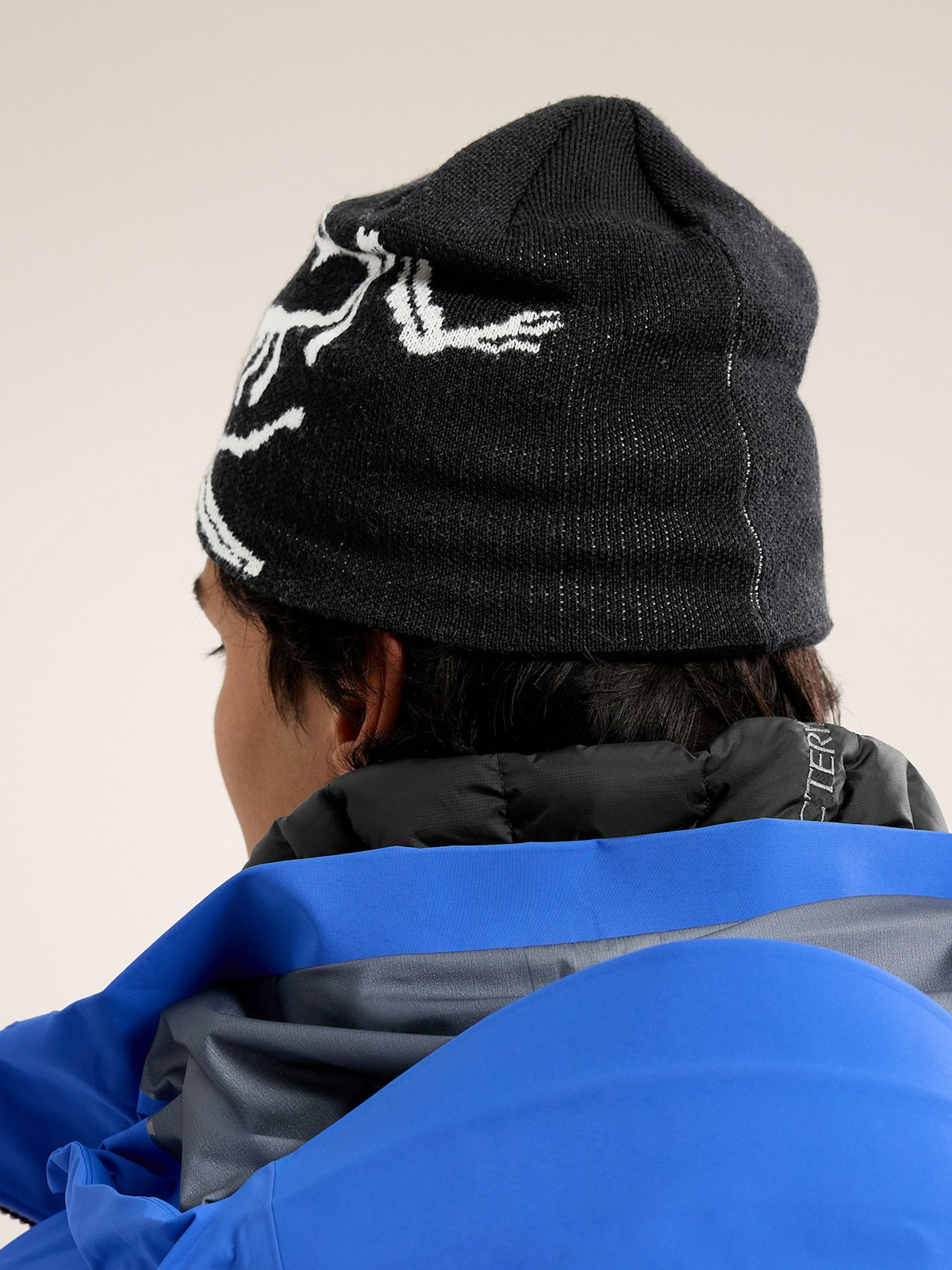 Bird Head Toque | Arc'teryx