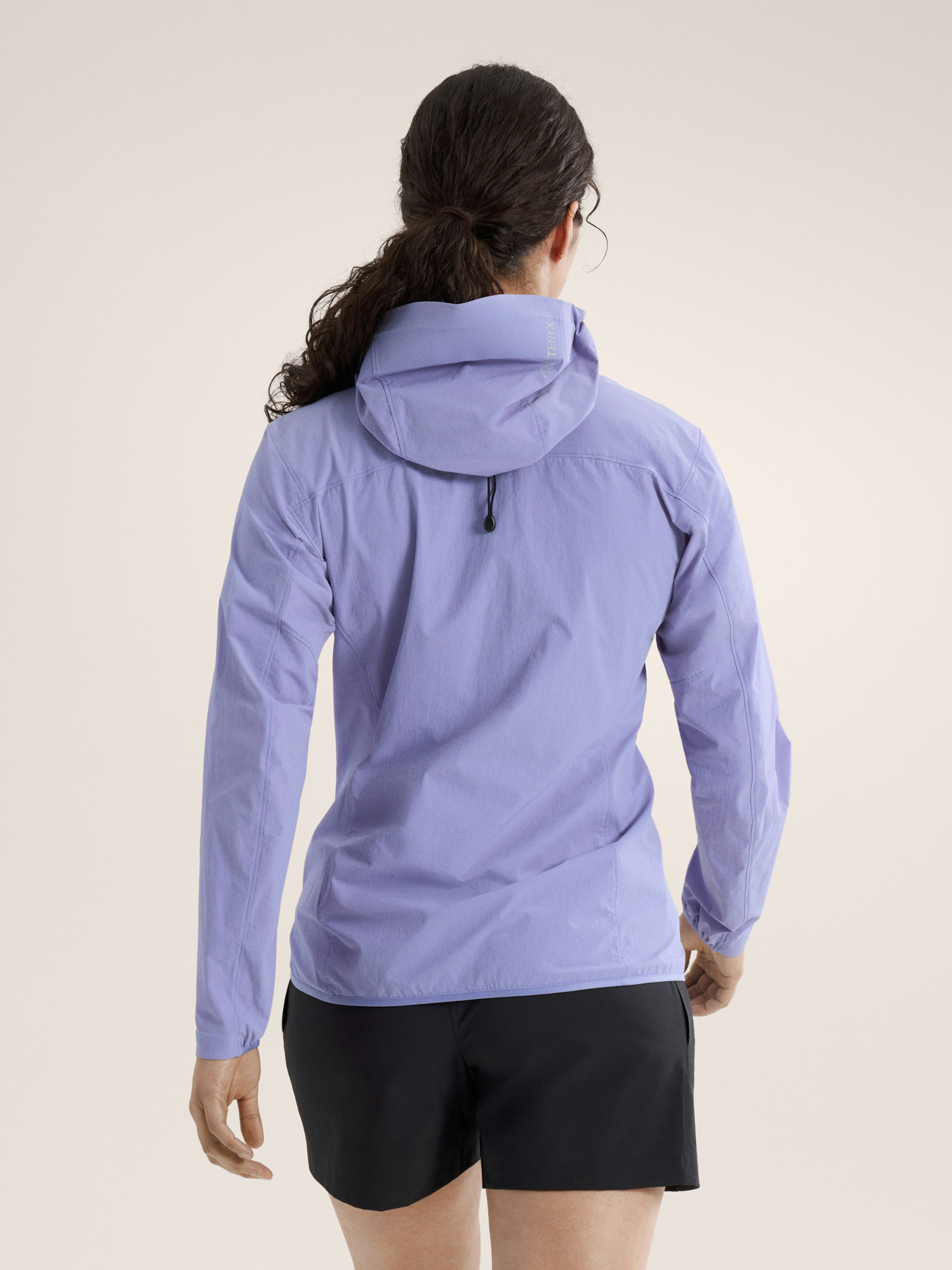 Gamma Lightweight Hoody Women's Moonstone Back View