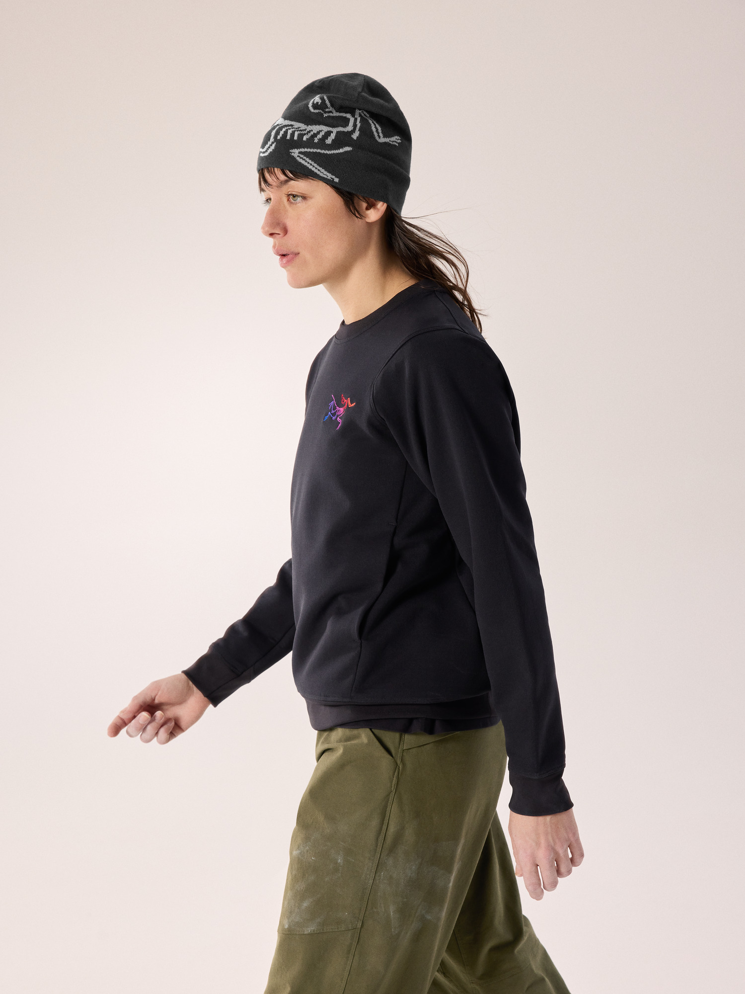 Aestas Crew Neck Pullover Women's | Arc'teryx