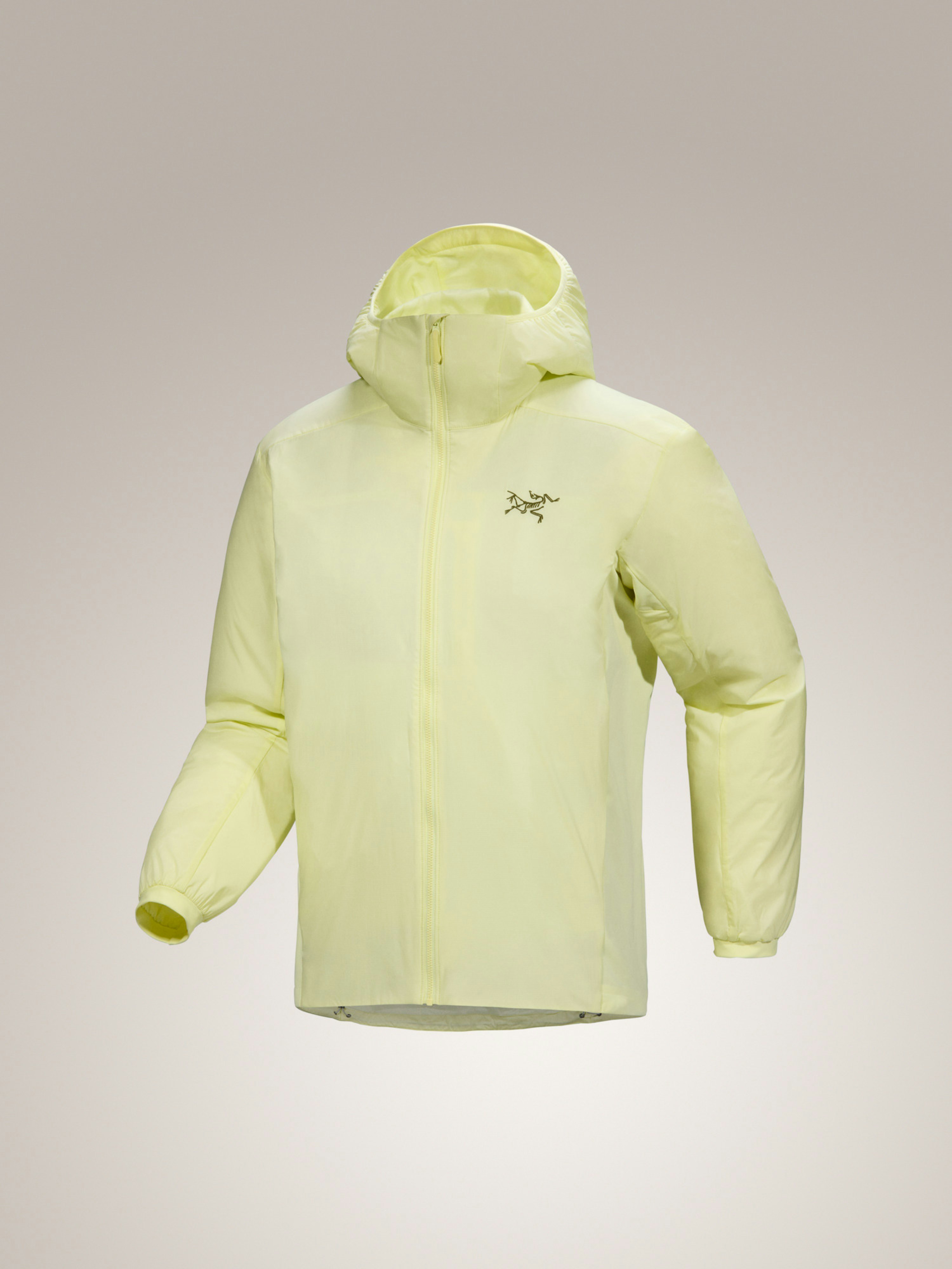 Atom Hoody Ray