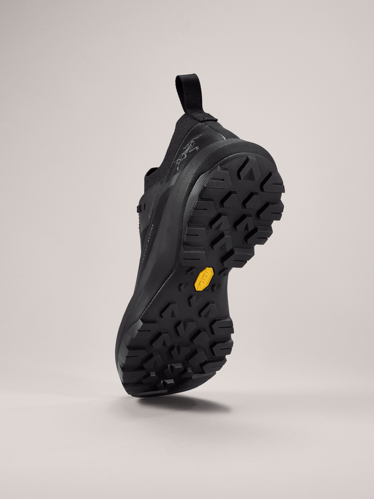 Vertex Alpine GTX Shoe Black / Black Sole