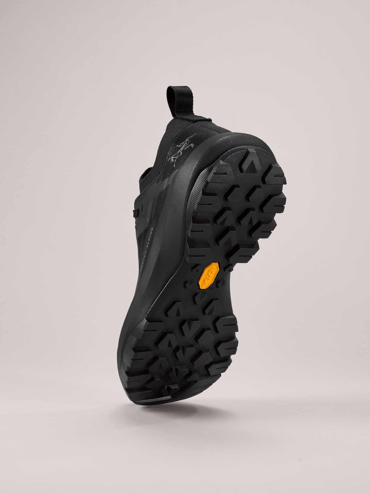 Vertex Alpine GTX Shoe Women's Black / Black Sole