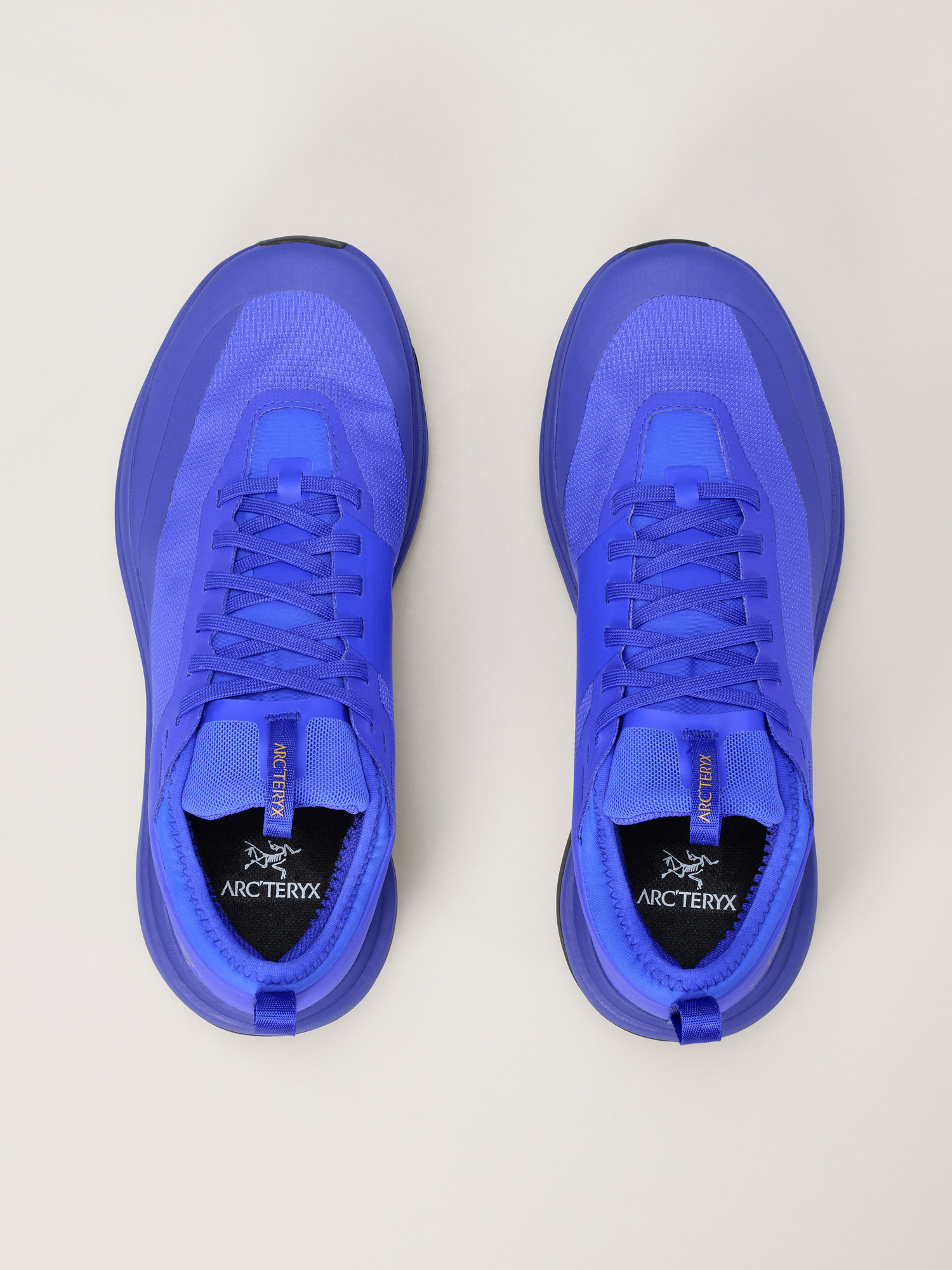 Sylan GTX Shoe Women's Electric Indigo/Dk Electric Indigo Pair