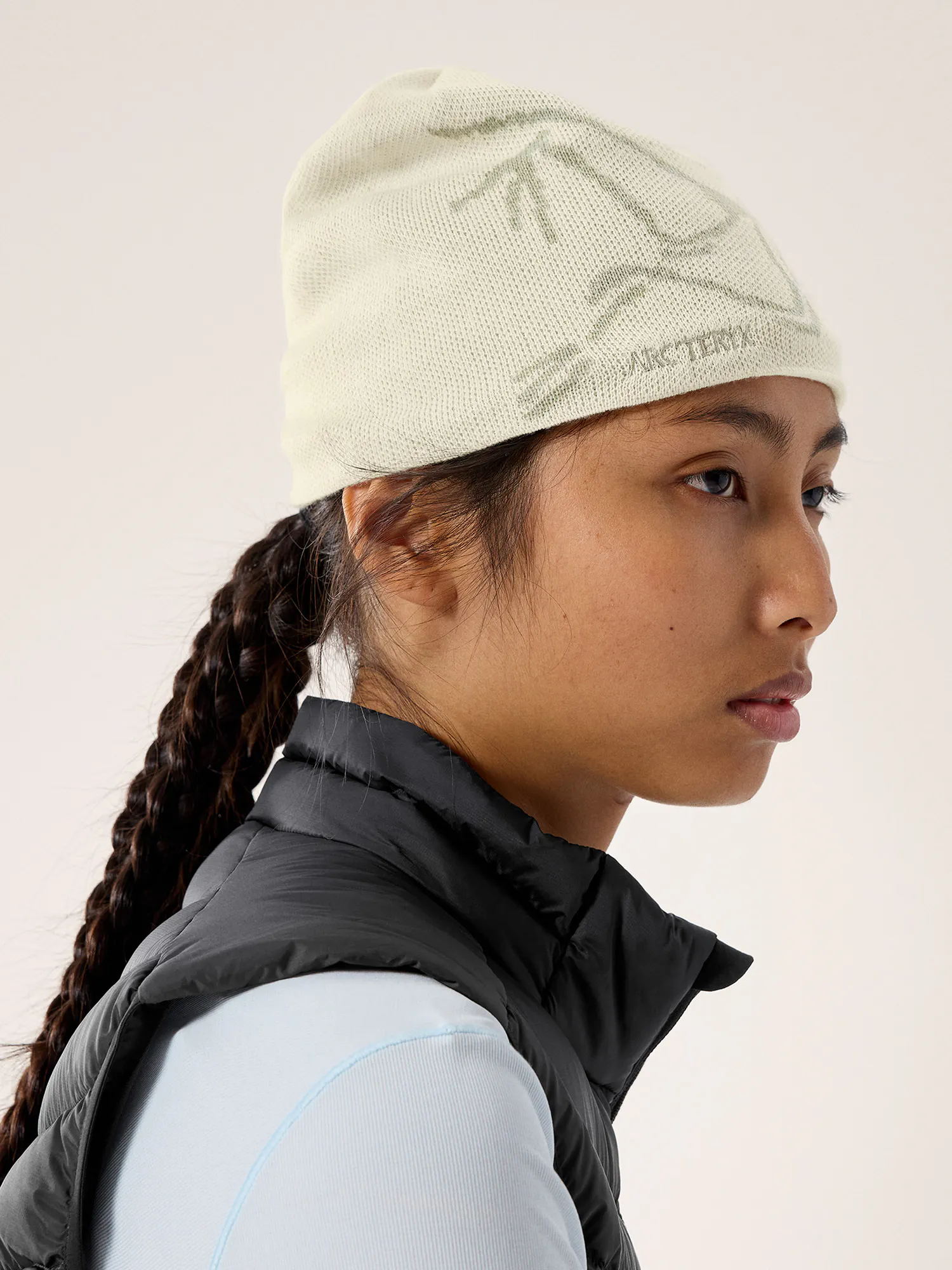 Bird Head Toque | Arc'teryx United States