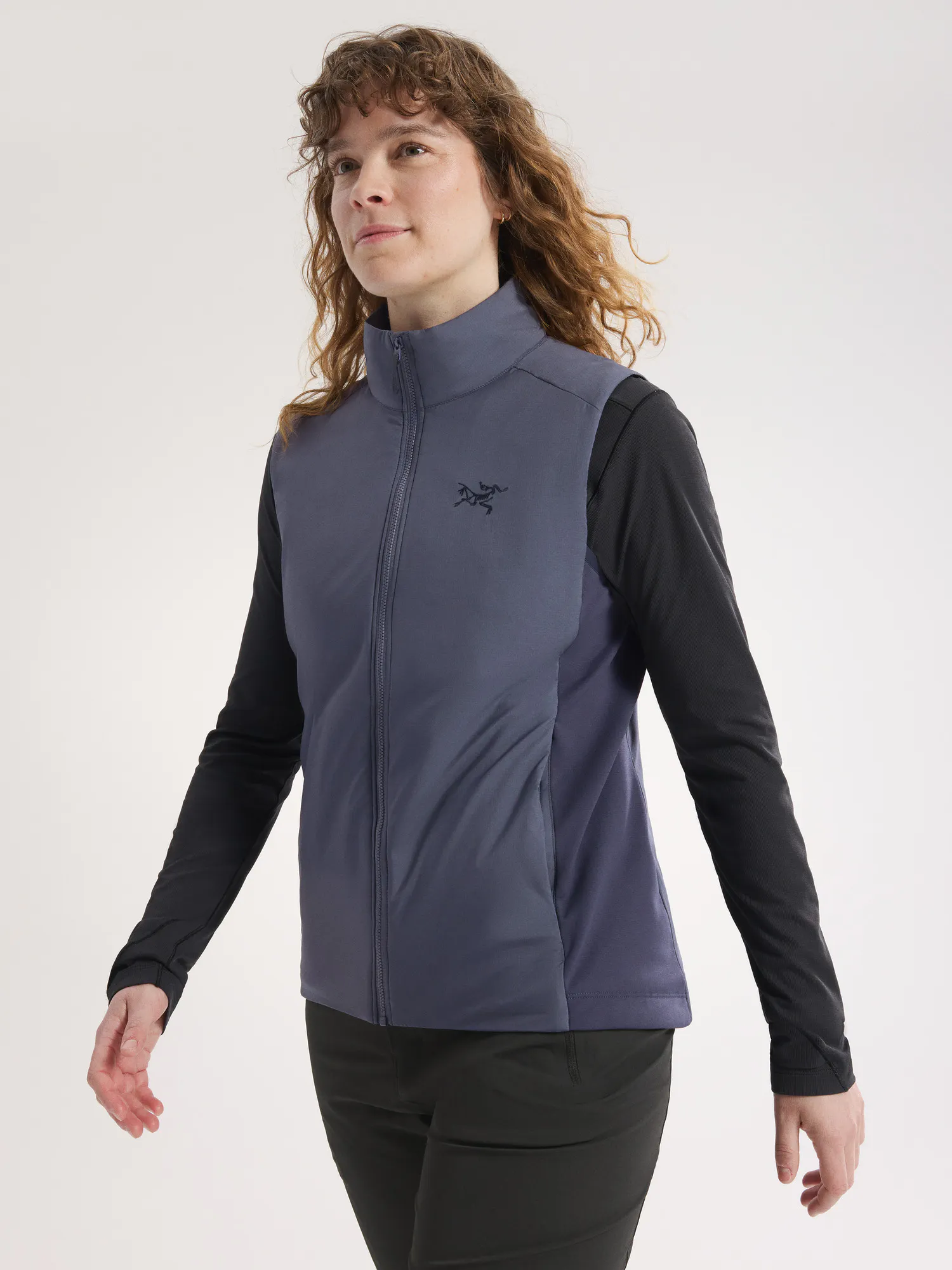 Arc'teryx Atom Vest 美品 arc_teryxatomvestwsoulsonic-
