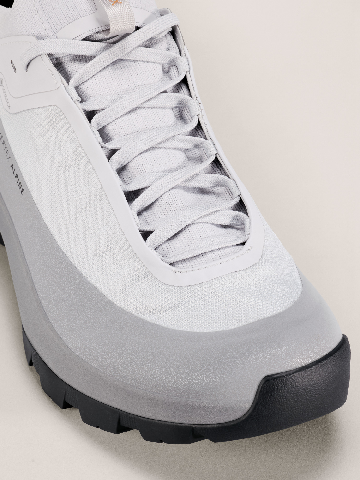 Vertex Alpine GTX Shoe Solitude/Void Hover