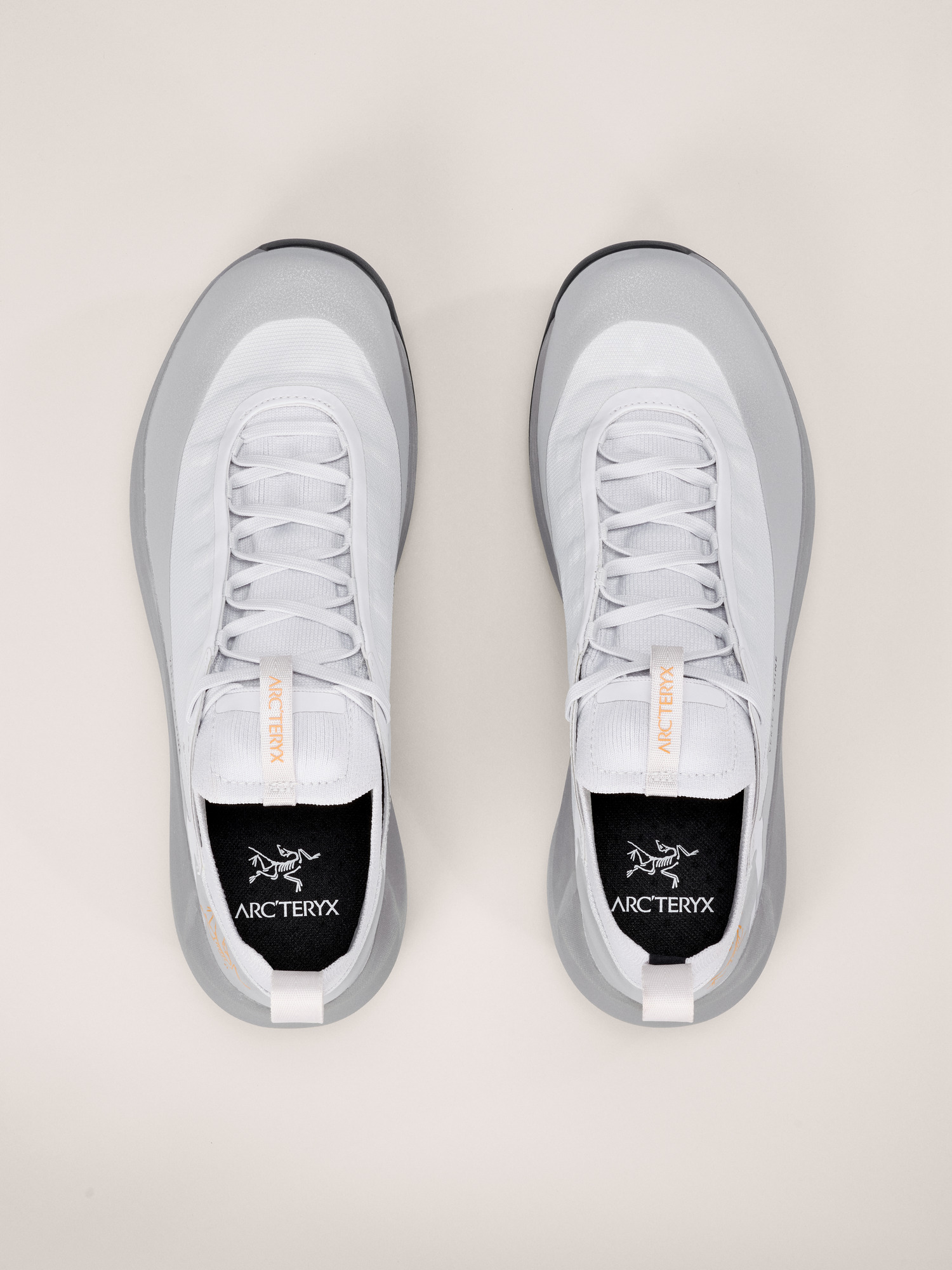 Vertex Alpine GTX Shoe Solitude/Void Pair