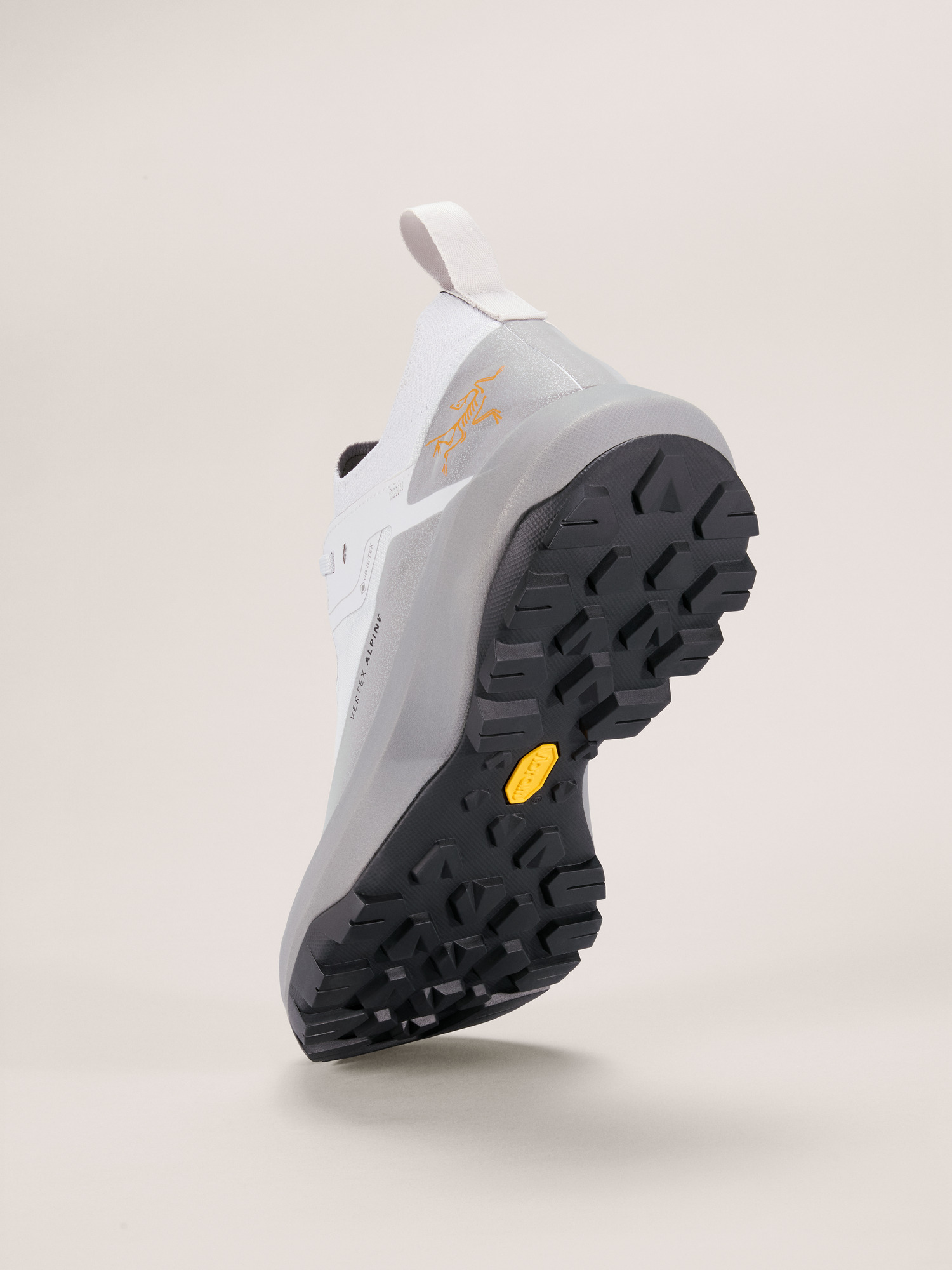 Vertex Alpine GTX Shoe Solitude/Void Sole